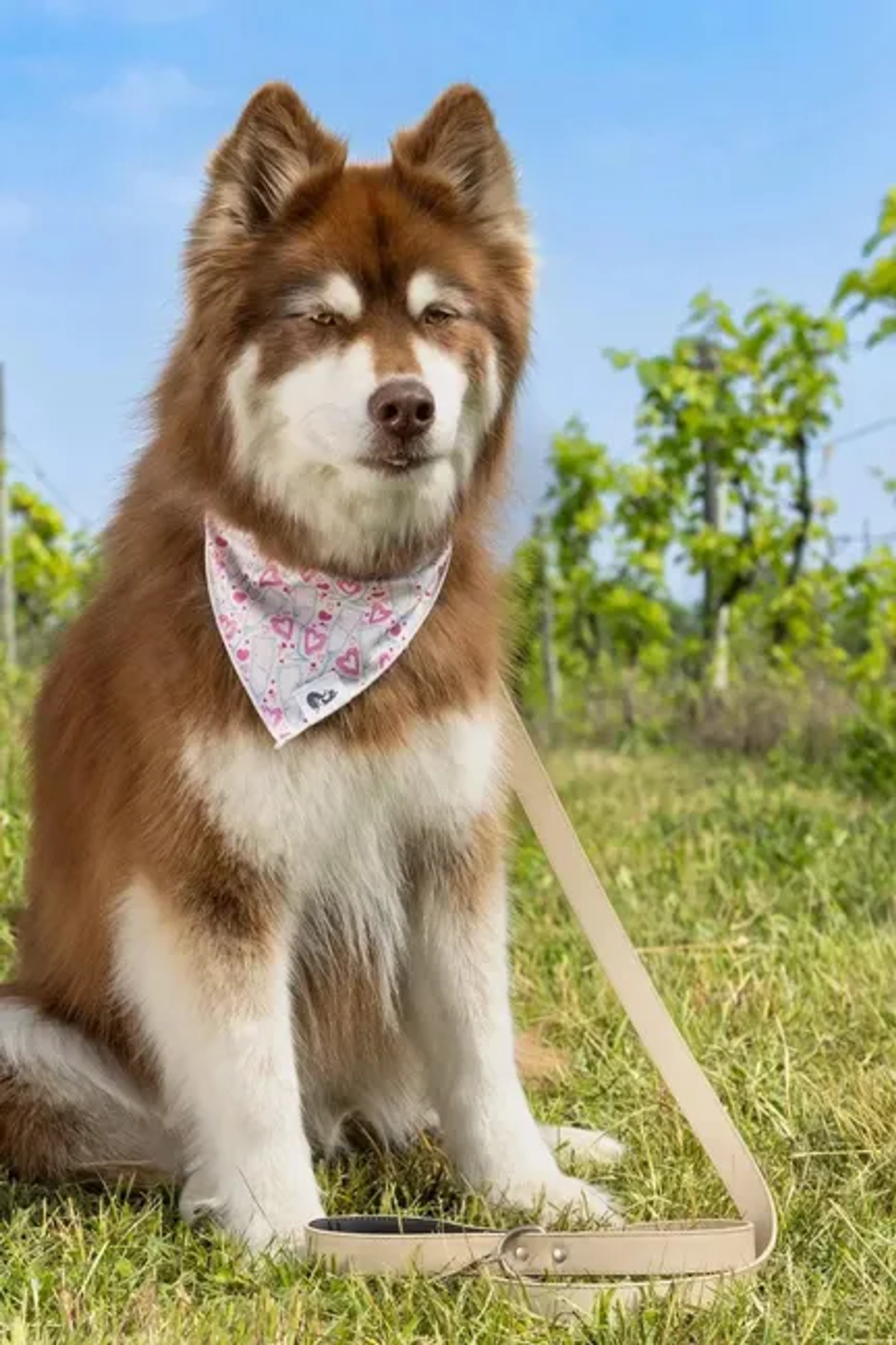 Cheers to Love Dog Bandana Image 1