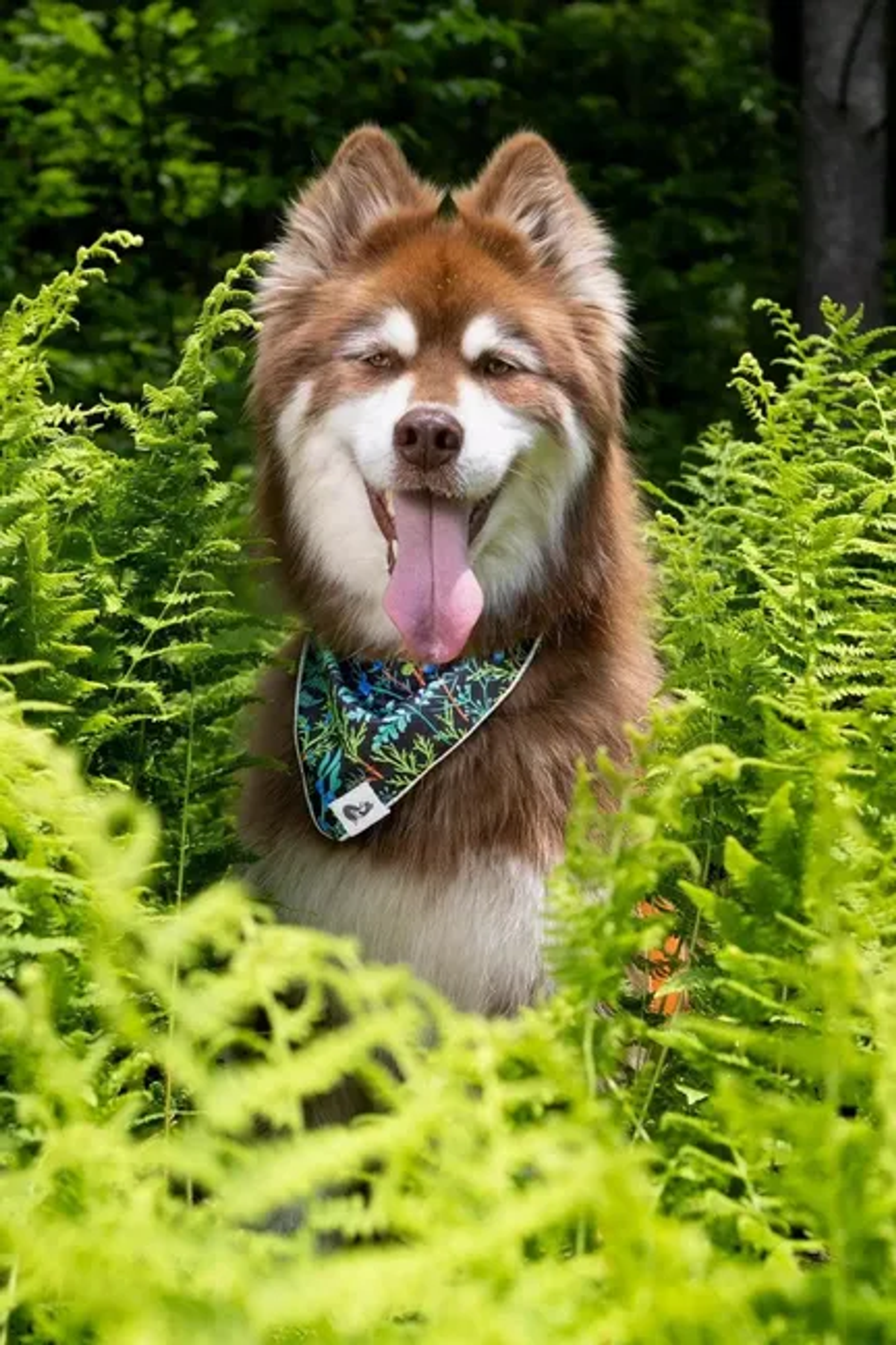 Magical Fern Forest Dog Bandana Image 1