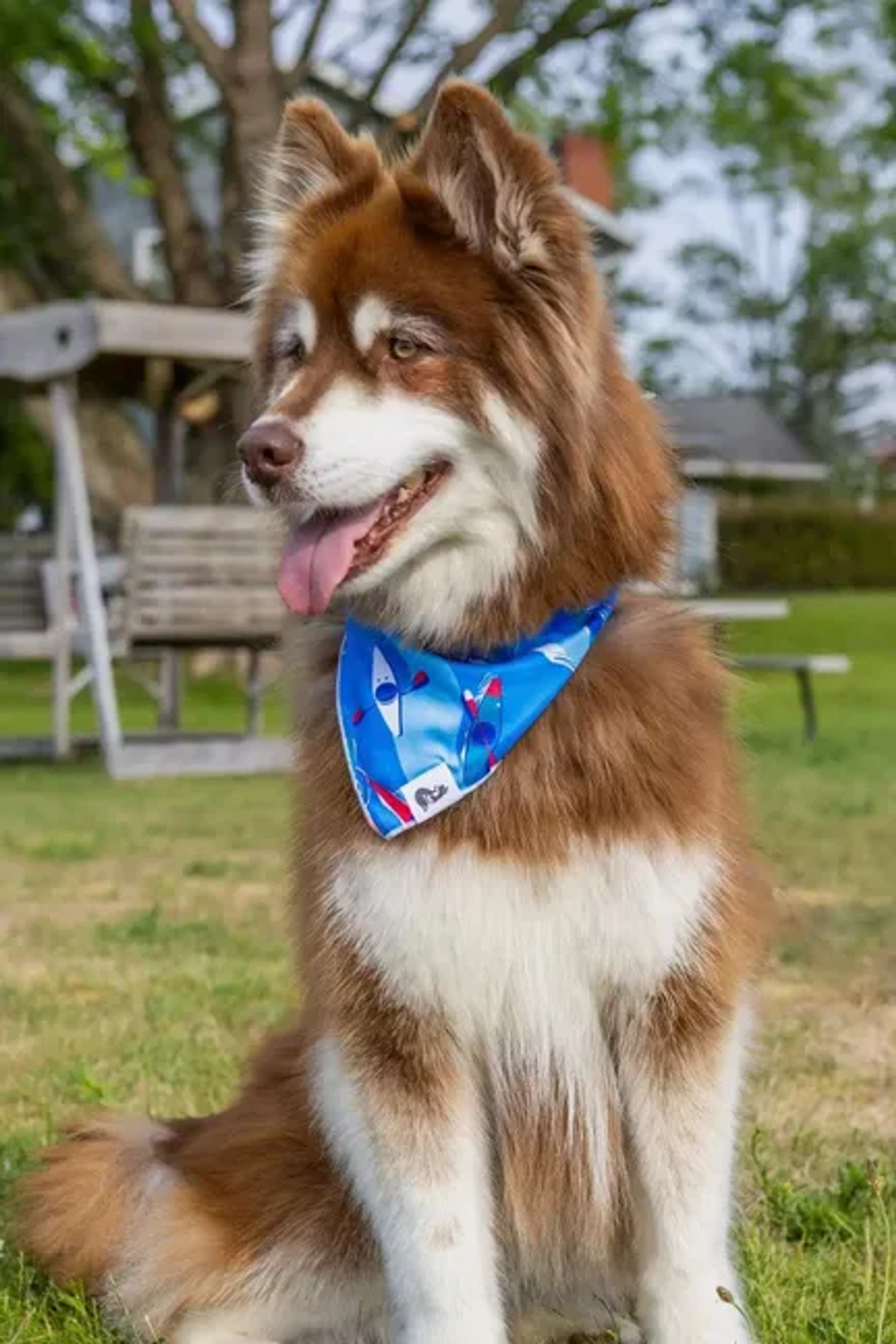 K9 Kayak Dog Bandana Image 1