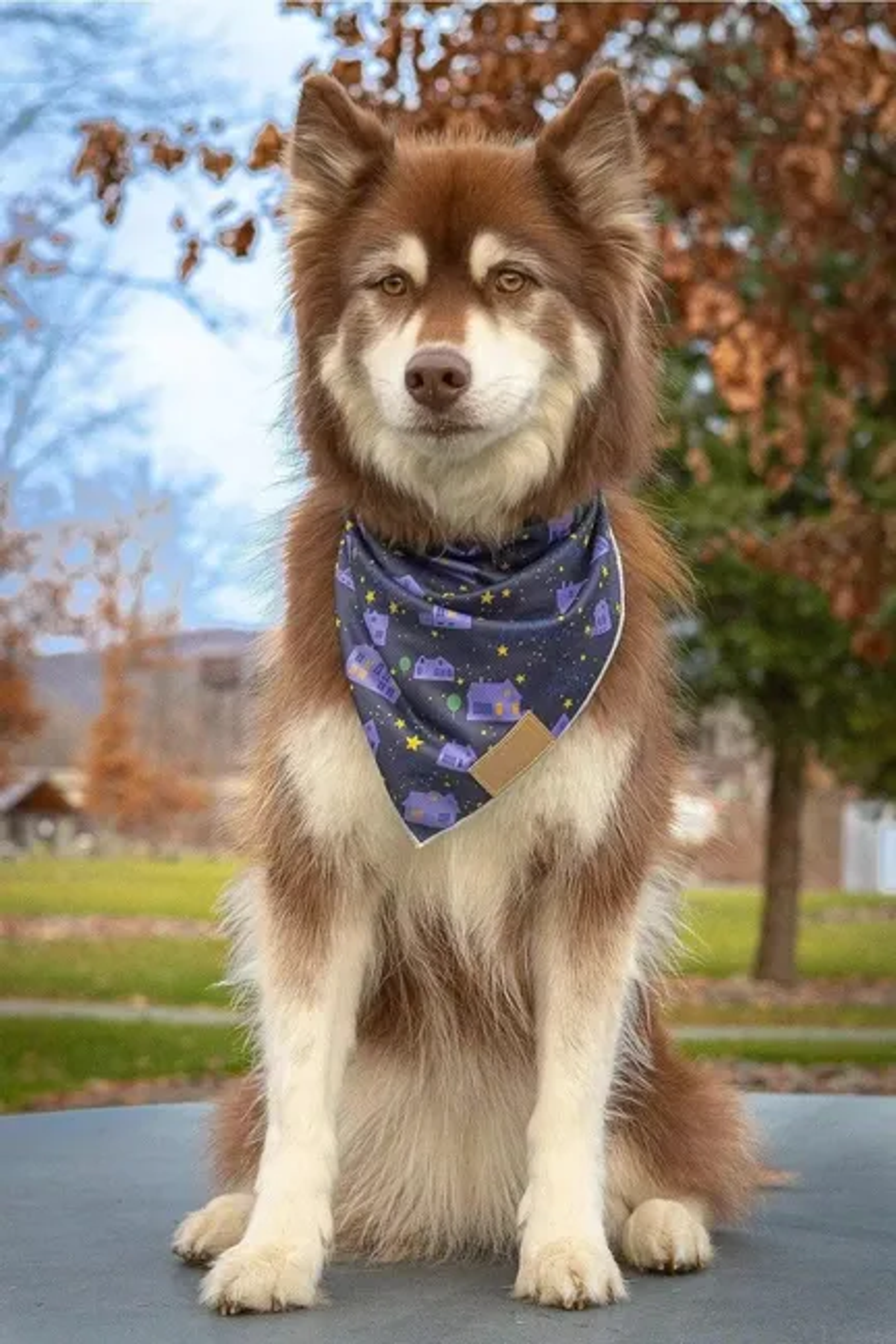 Starry Embrace Dog Bandana Image 1