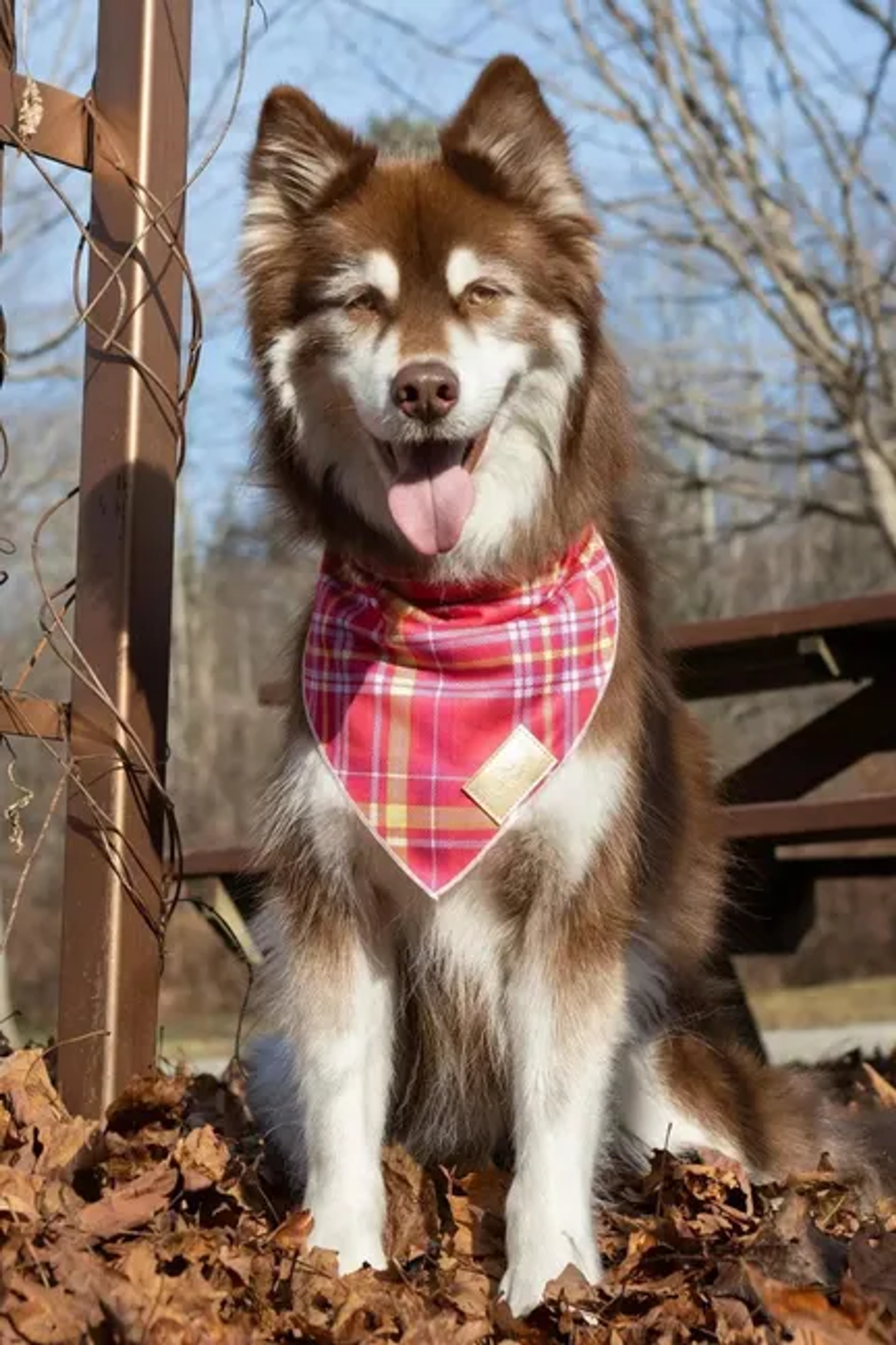 Wine Plaid Dog Bandana Image 1