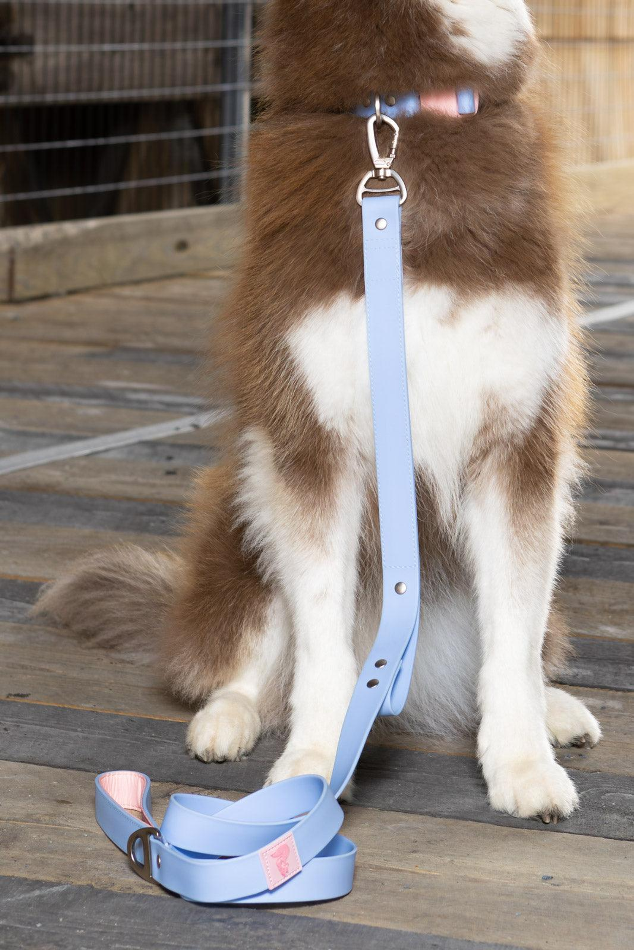 Blue Sky Orchid Waterproof Leash Image 1