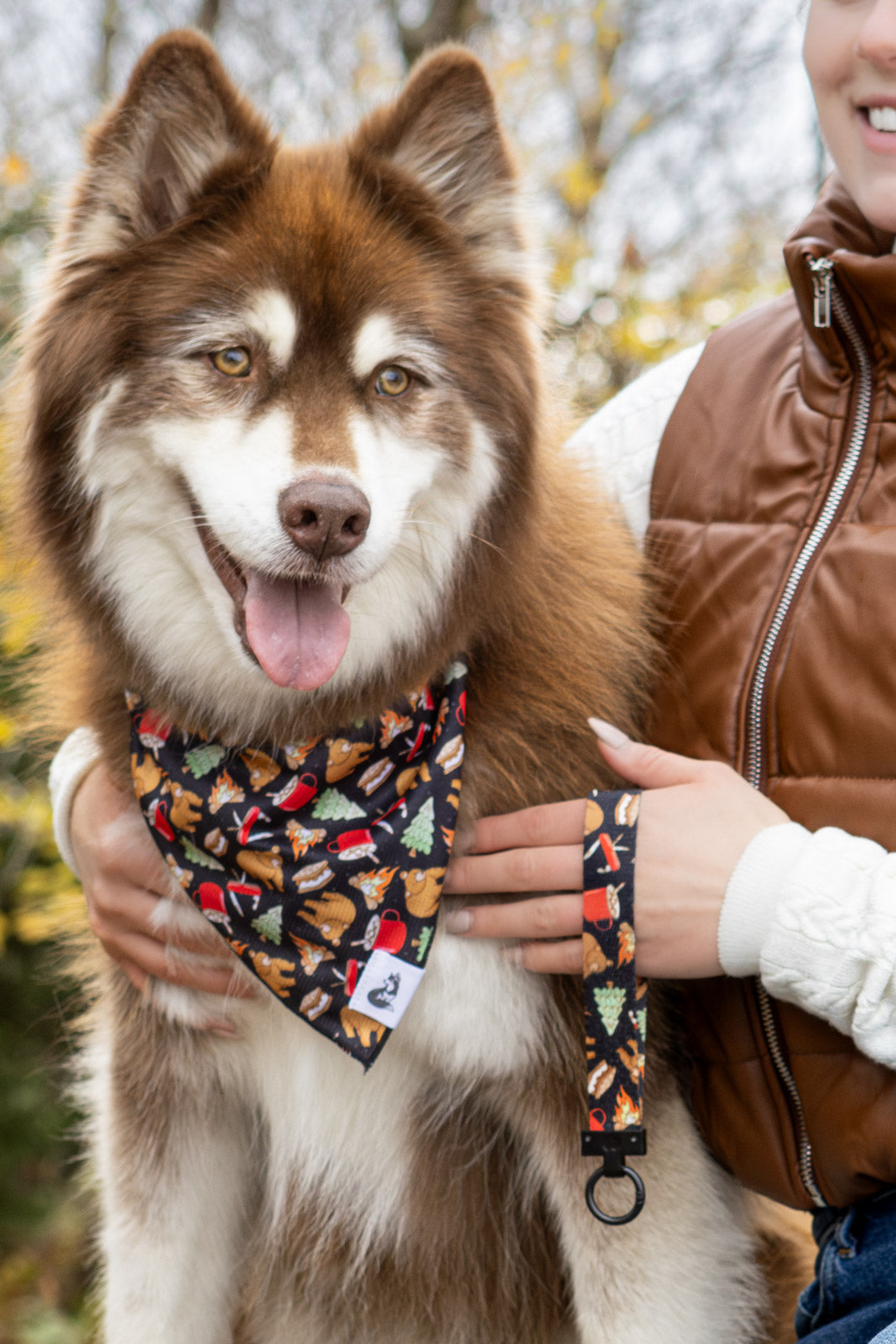 Woodland Tales Dog Bandana & Matching Keychain Image 1