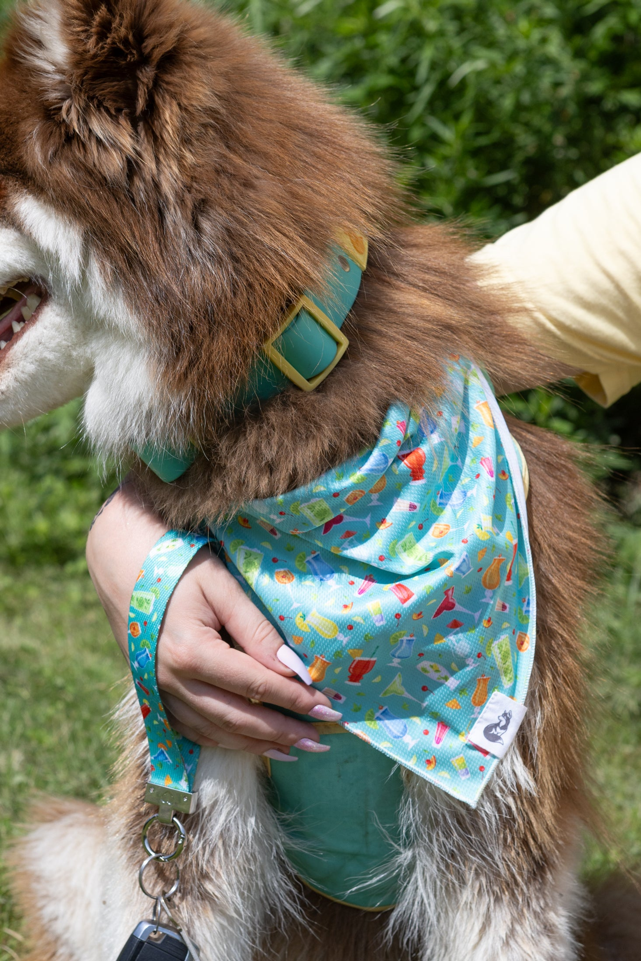 Seaside Sips Dog Bandana & Matching Keychain Image 1