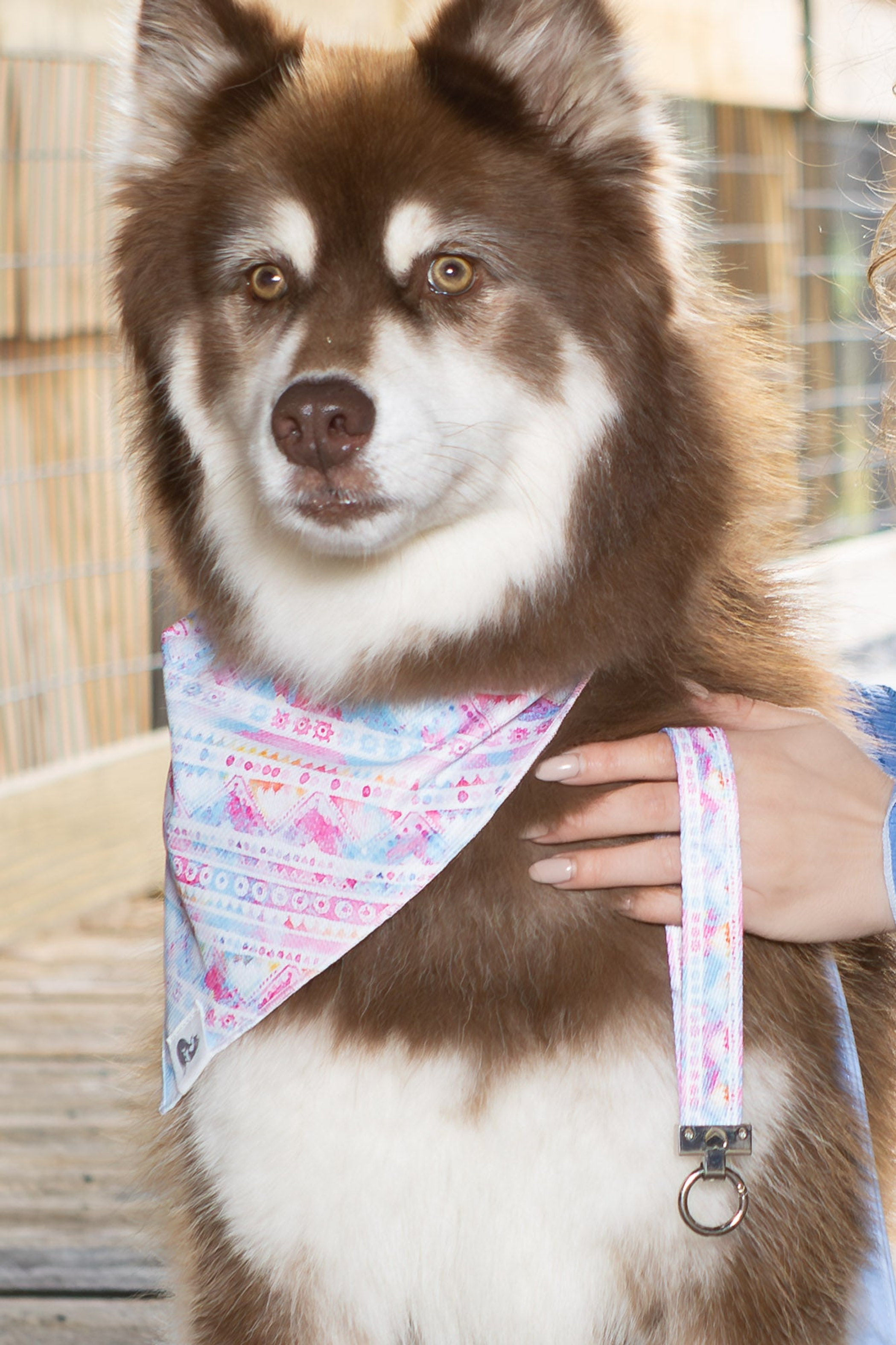 Pink and Blue Tribal Dog Bandana & Matching Keychain Image 1