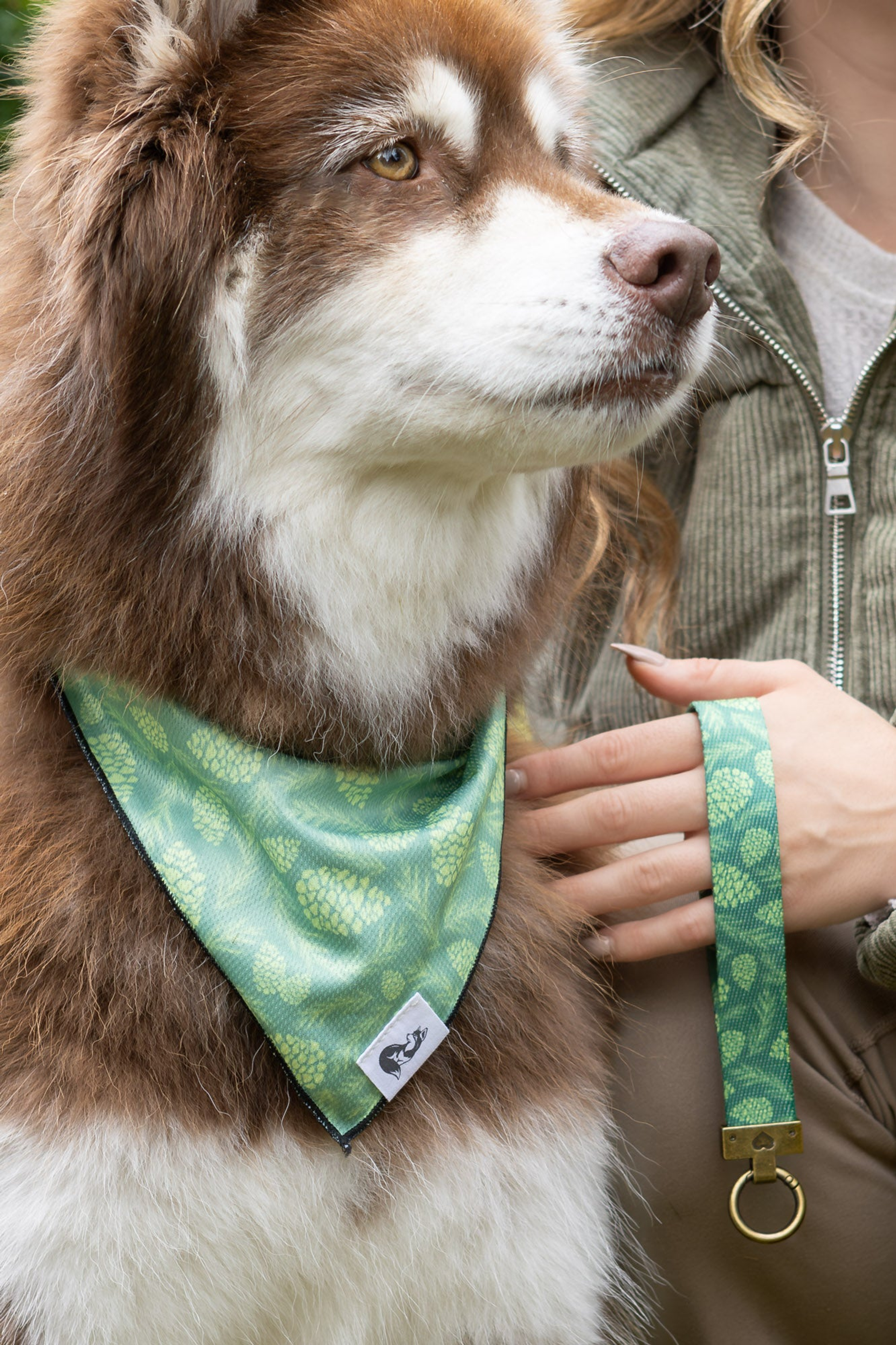 Pine Cone Pup Bandana & Matching Keychain Image 1