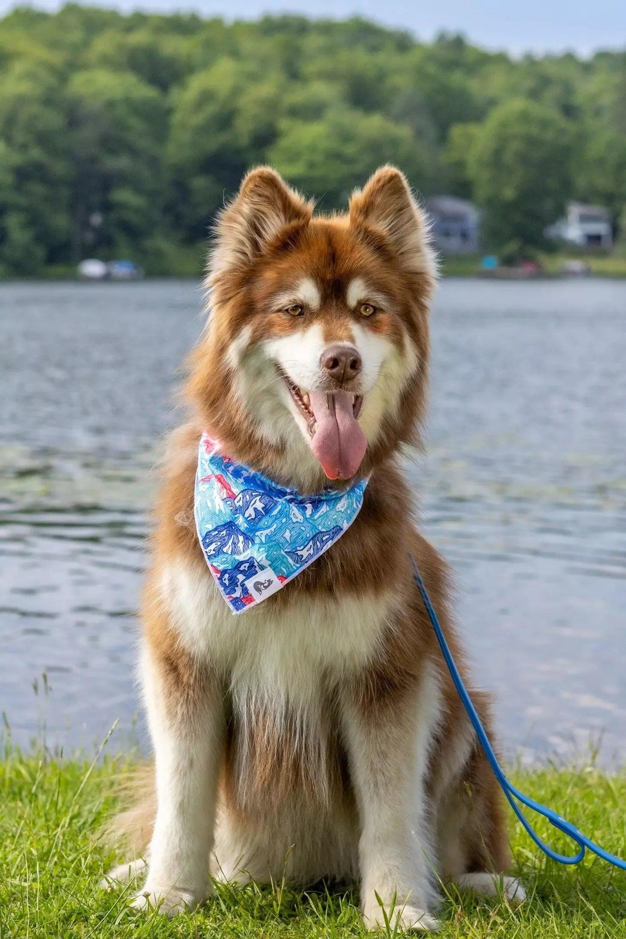 Painted Peaks Dog Bandana & Matching Keychain Image 1