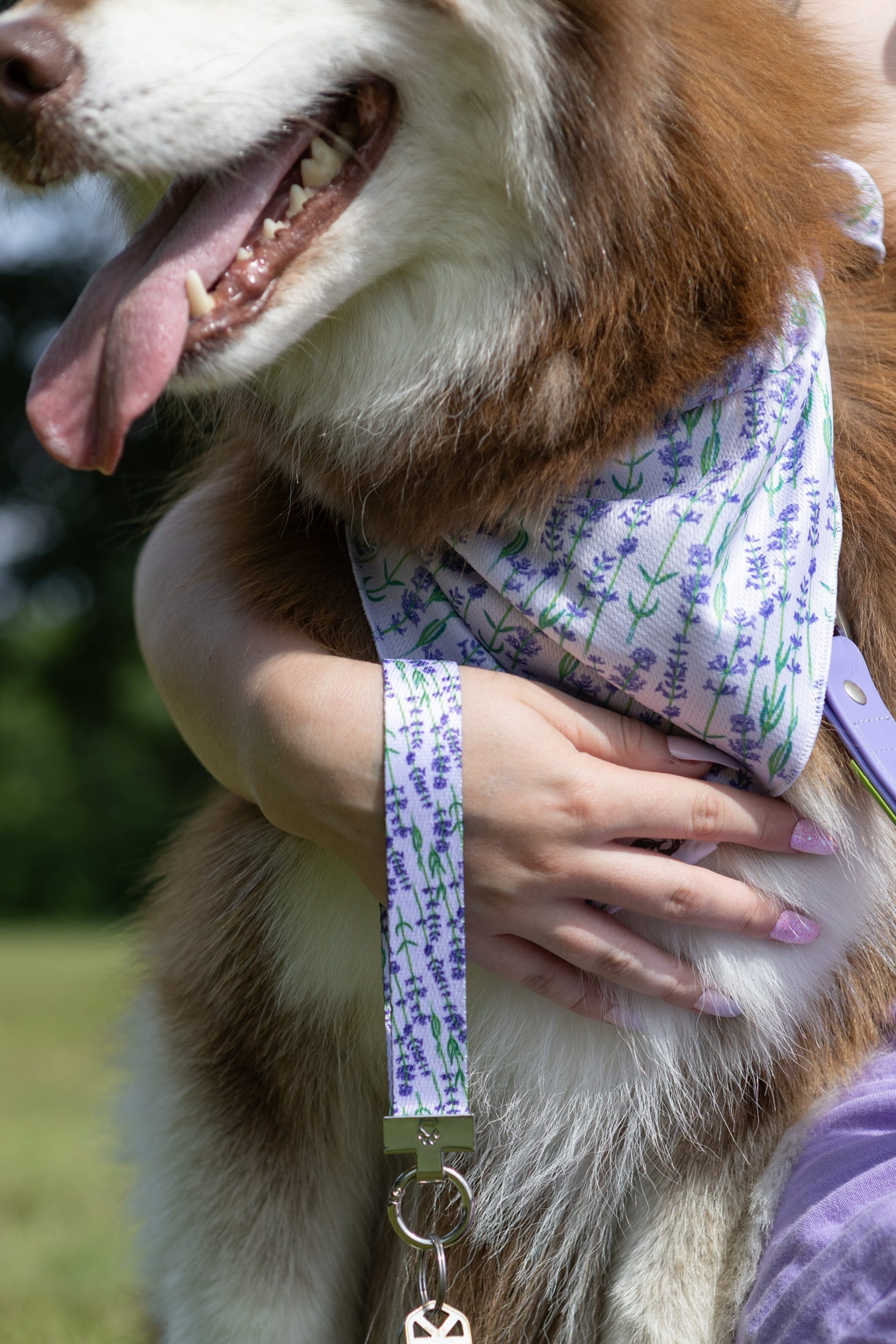 Lavender Blooms Dog Bandana & Matching Keychain Image 1