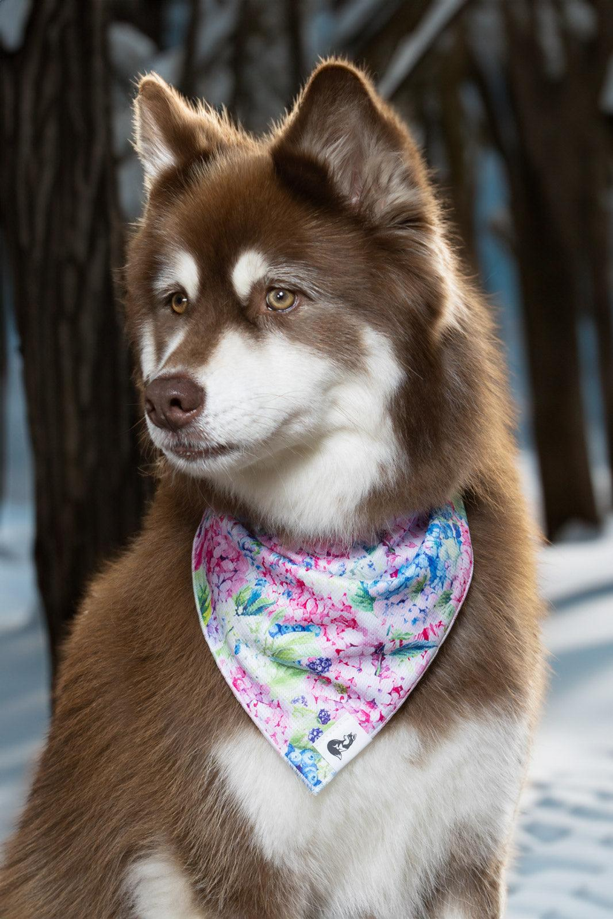 Hydrangea Haven Dog Bandana & Matching Keychain Image 1