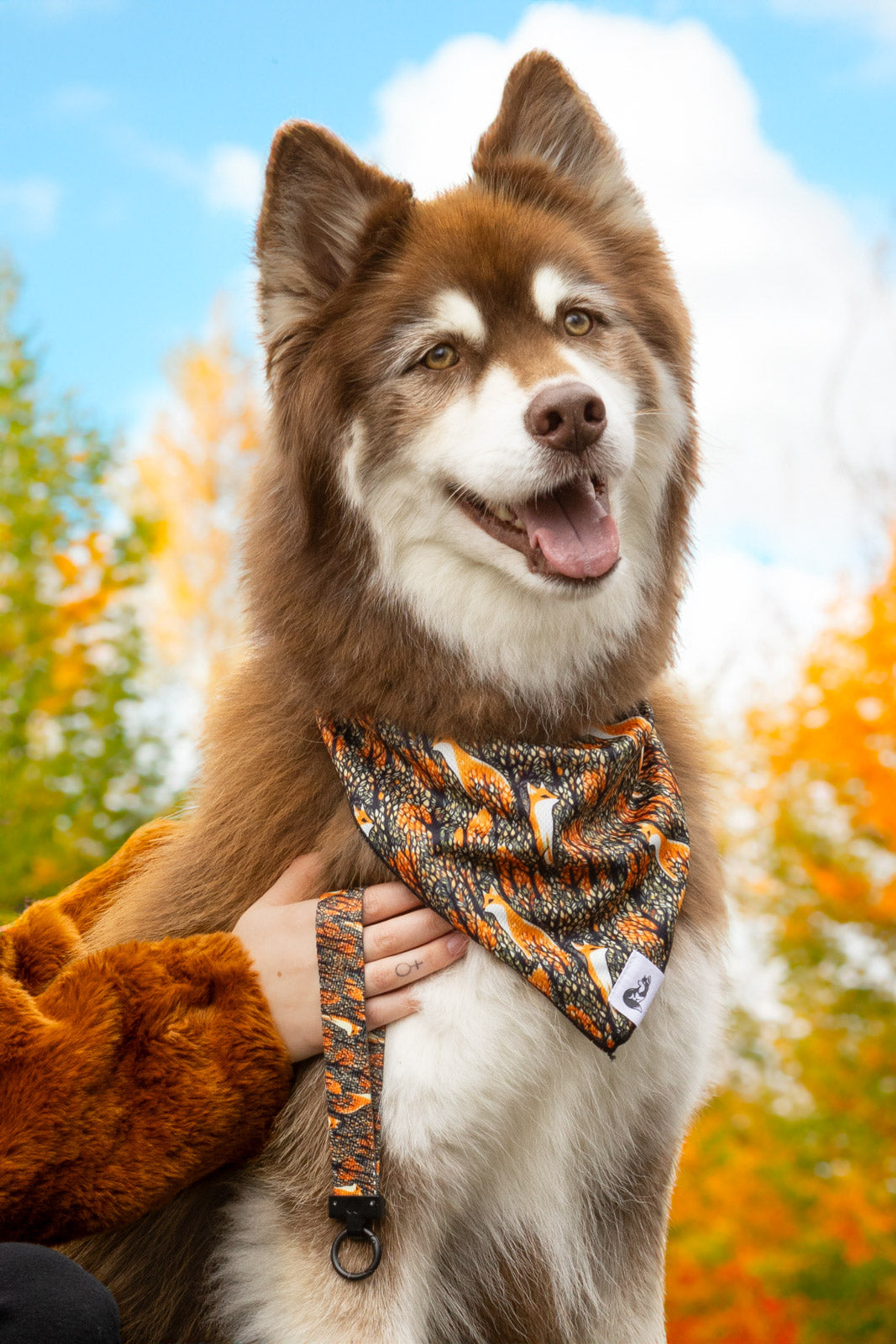 Foxes in Fall Dog Bandana & Matching Keychain Image 1