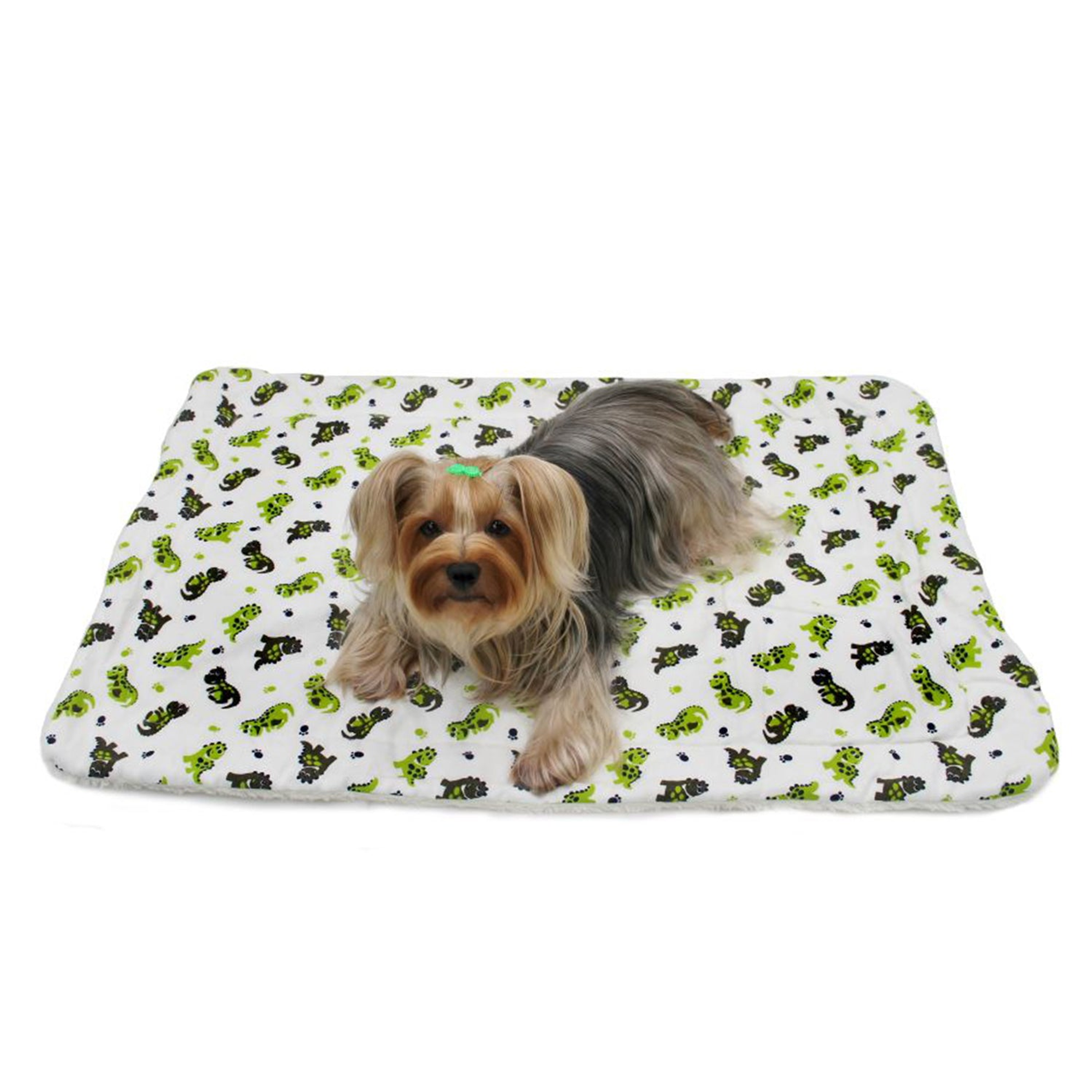 Playful Dinosaur Flannel/Ultra-Plush Blanket Image 1