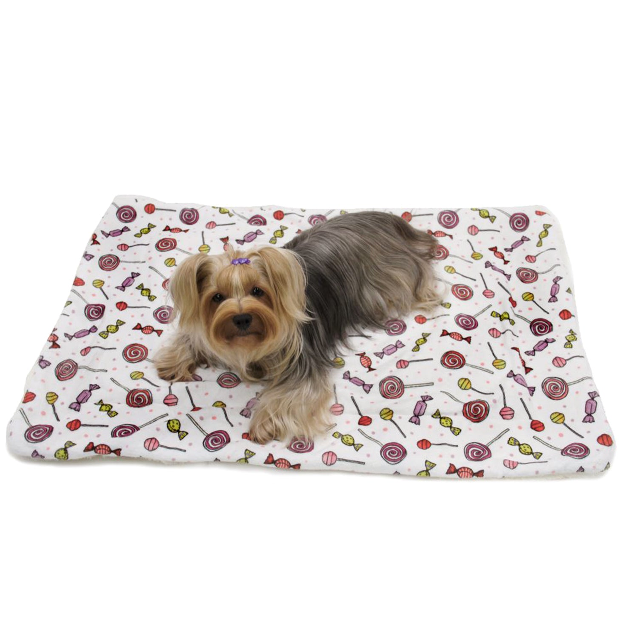 Ultra Soft Minky/Plush Sweet Candies Blanket Image 1