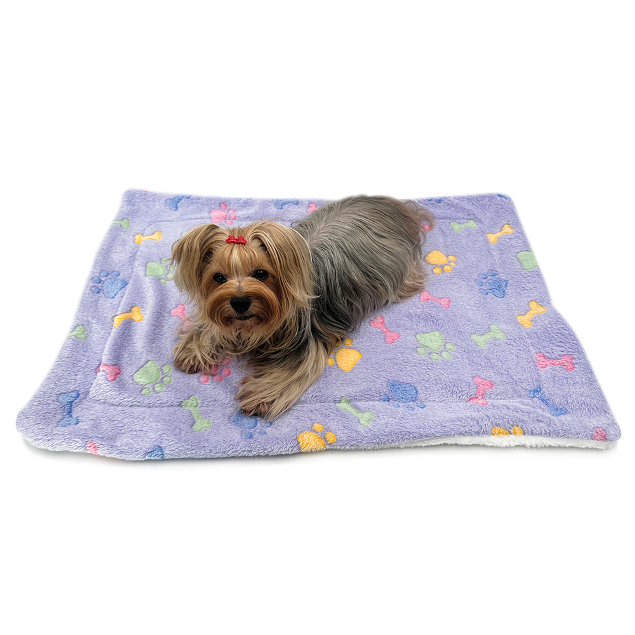 Ultra Plush Colorful Bones/Paws Blanket Image 1