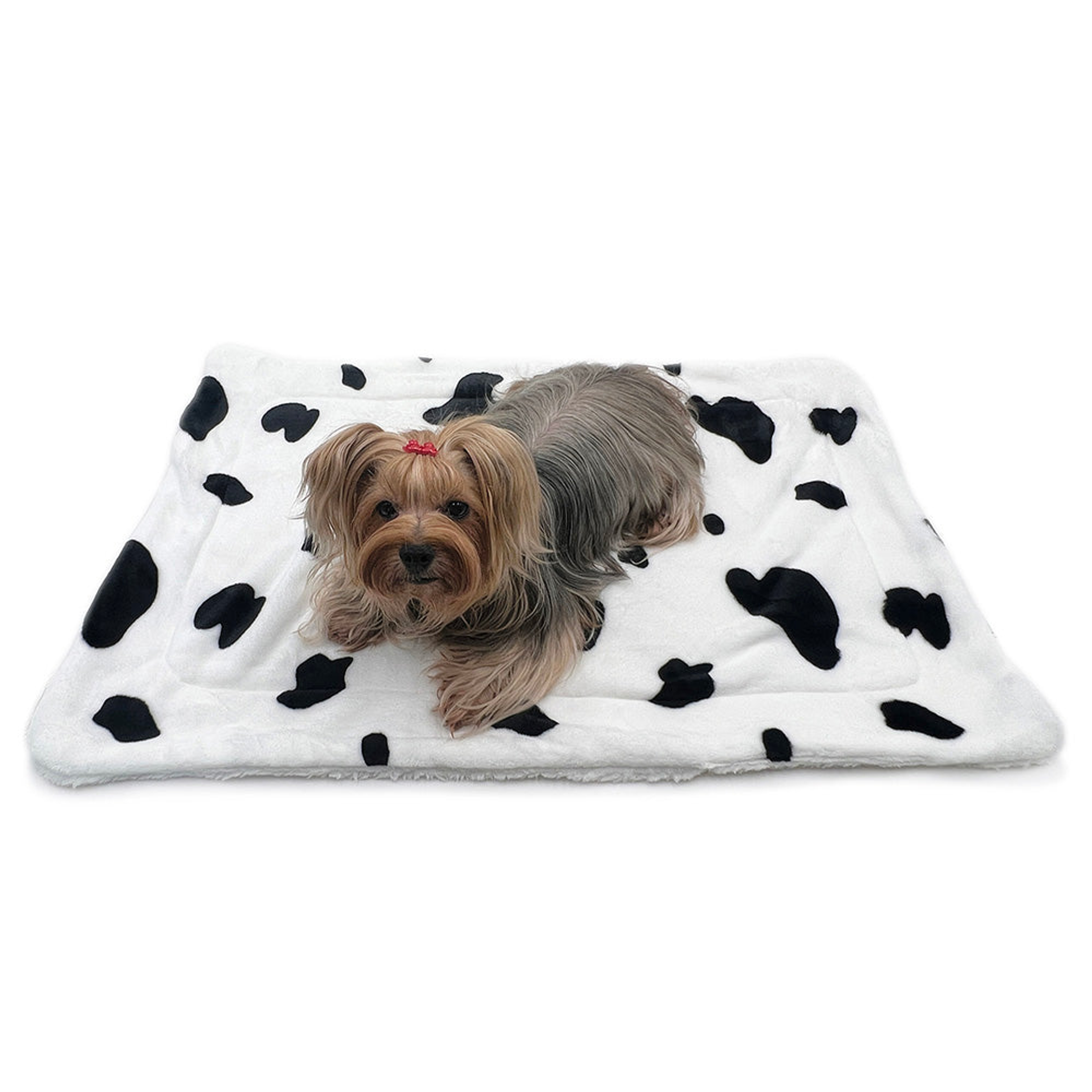Ultra Plush Moo Cow Blanket Image 1