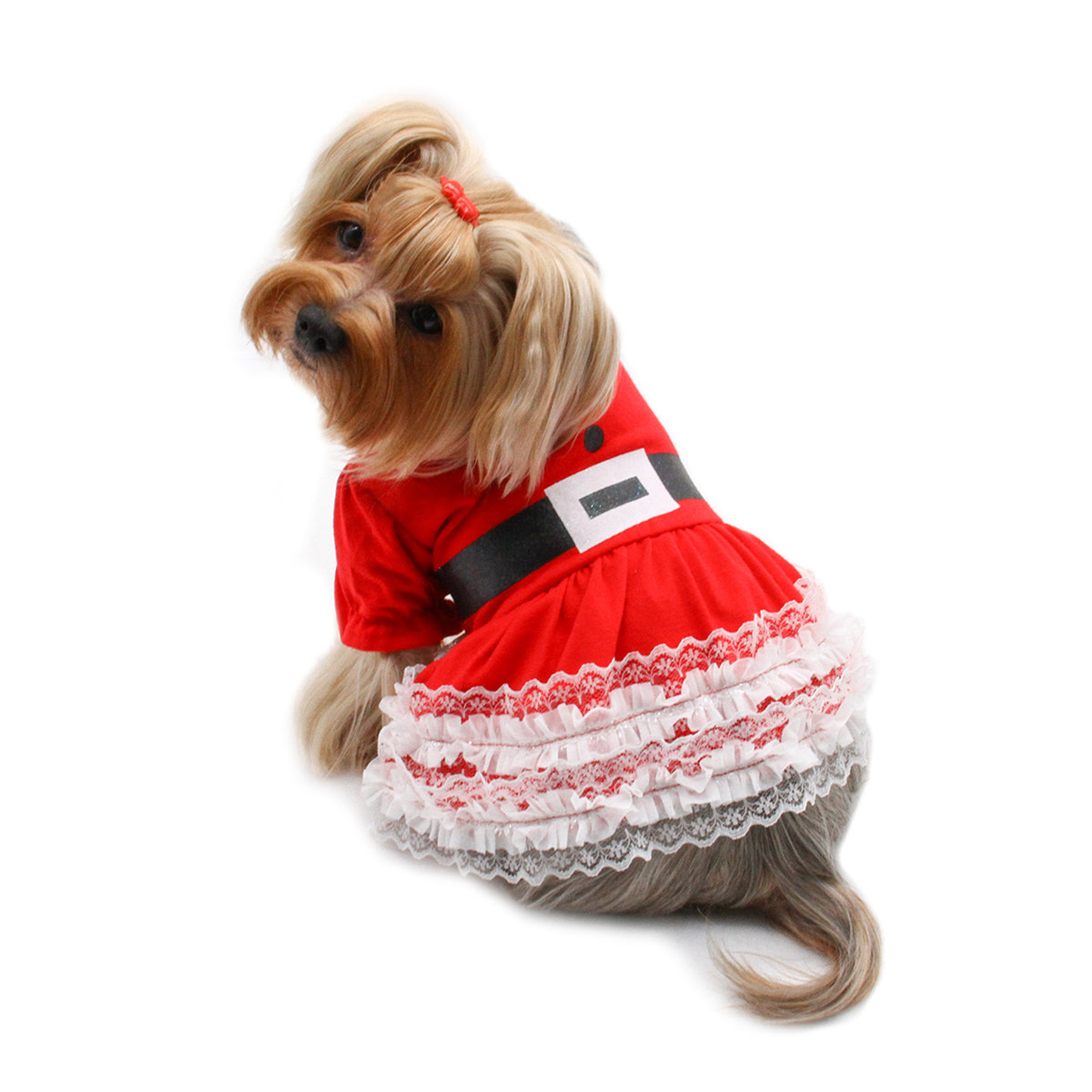 Lace Ruffles Puffy Sleeves Christmas Dress Image 1