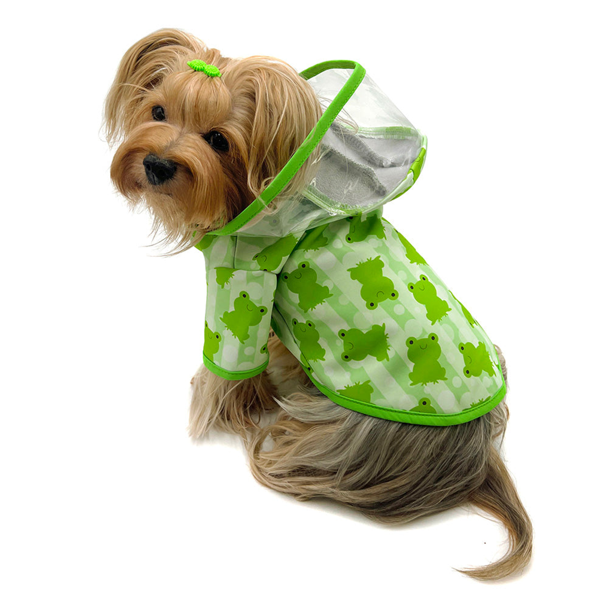 Clear View Froggy Raincoat with Fleece Lining and Detachable Hood Image 1
