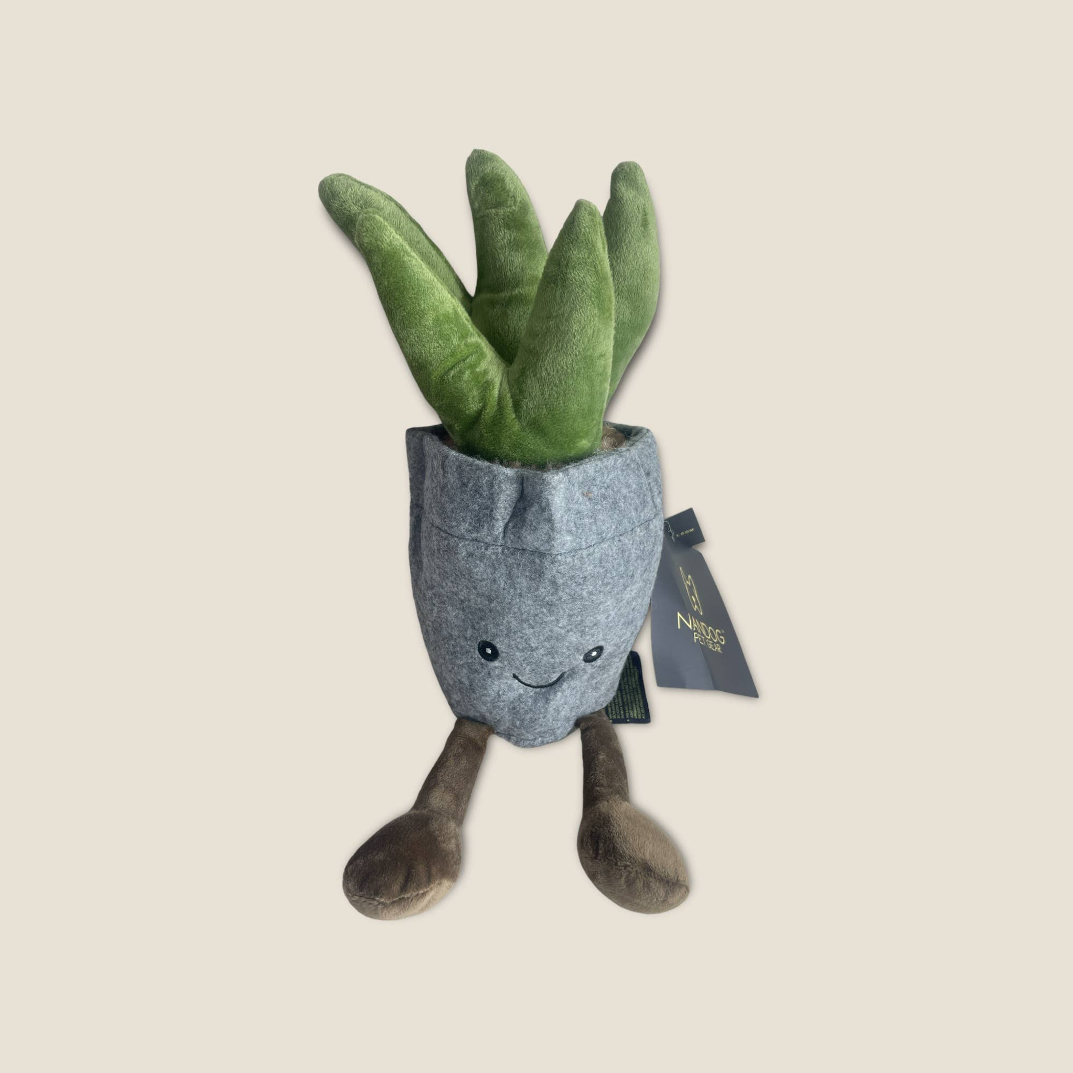 NANDOG My BFF Succulent Pot Image 1