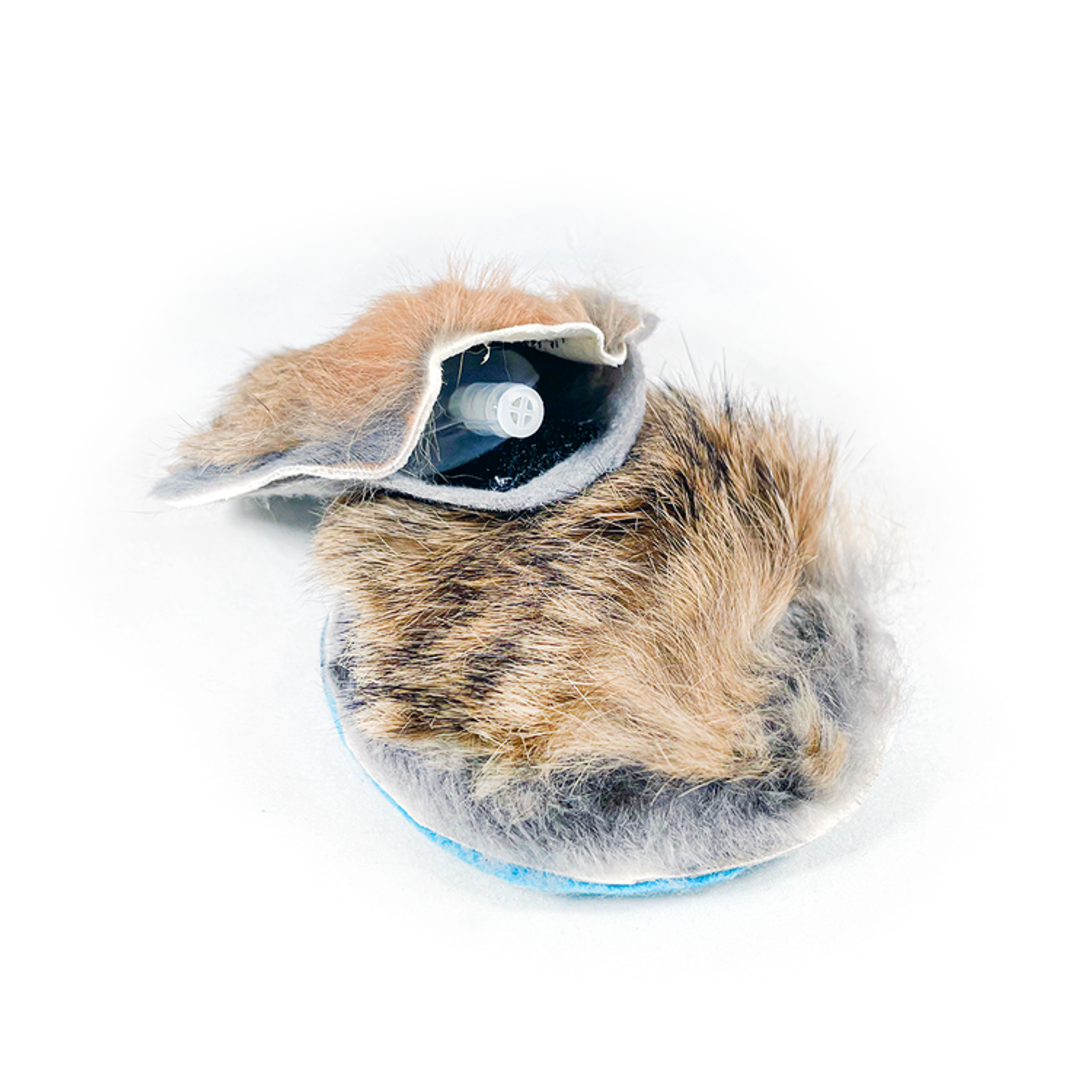 Natural Rabbit Squeaker Training Rounds Image 1