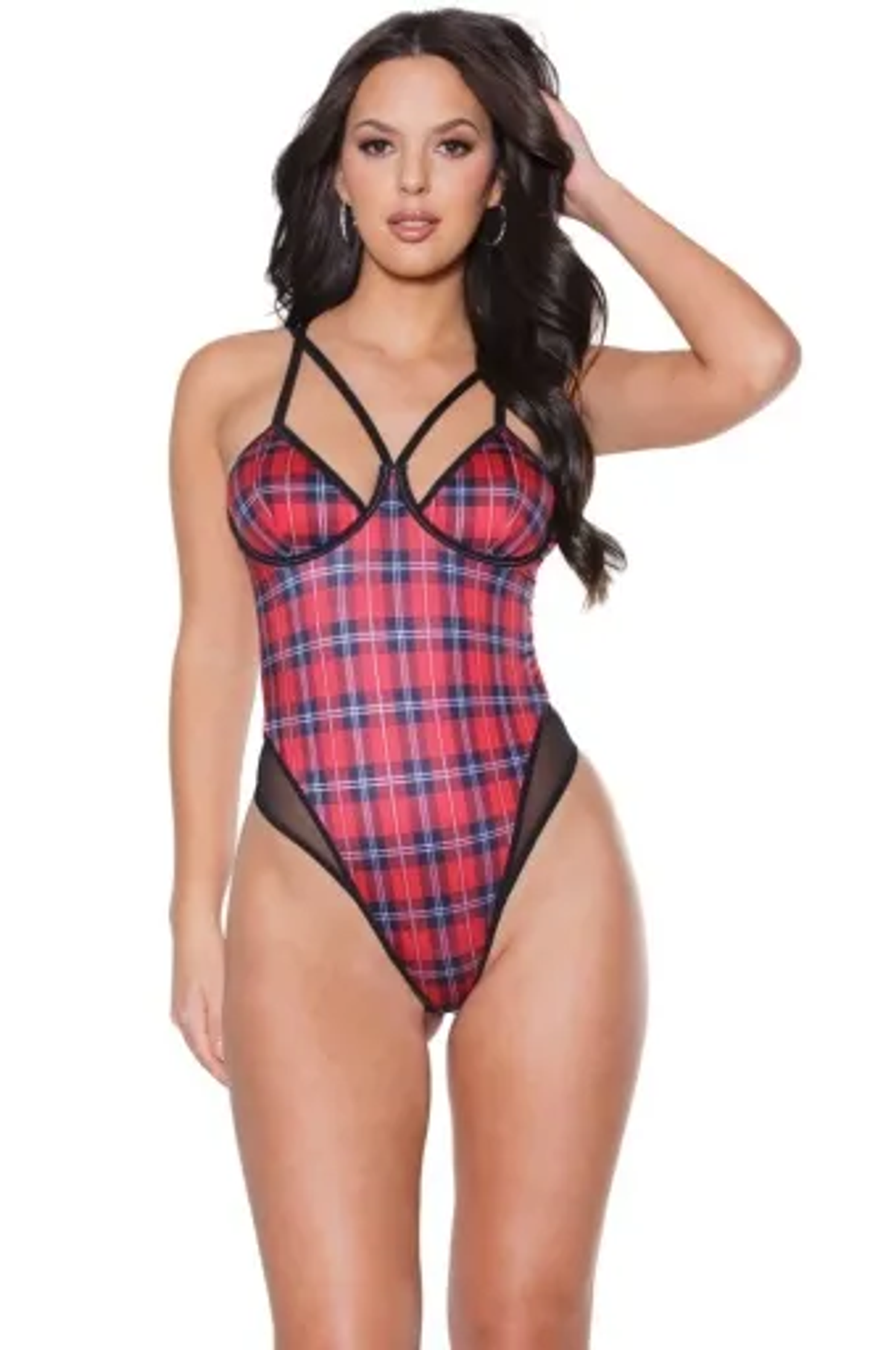 Coquette Plaid and Sheer Nylon Teddy
