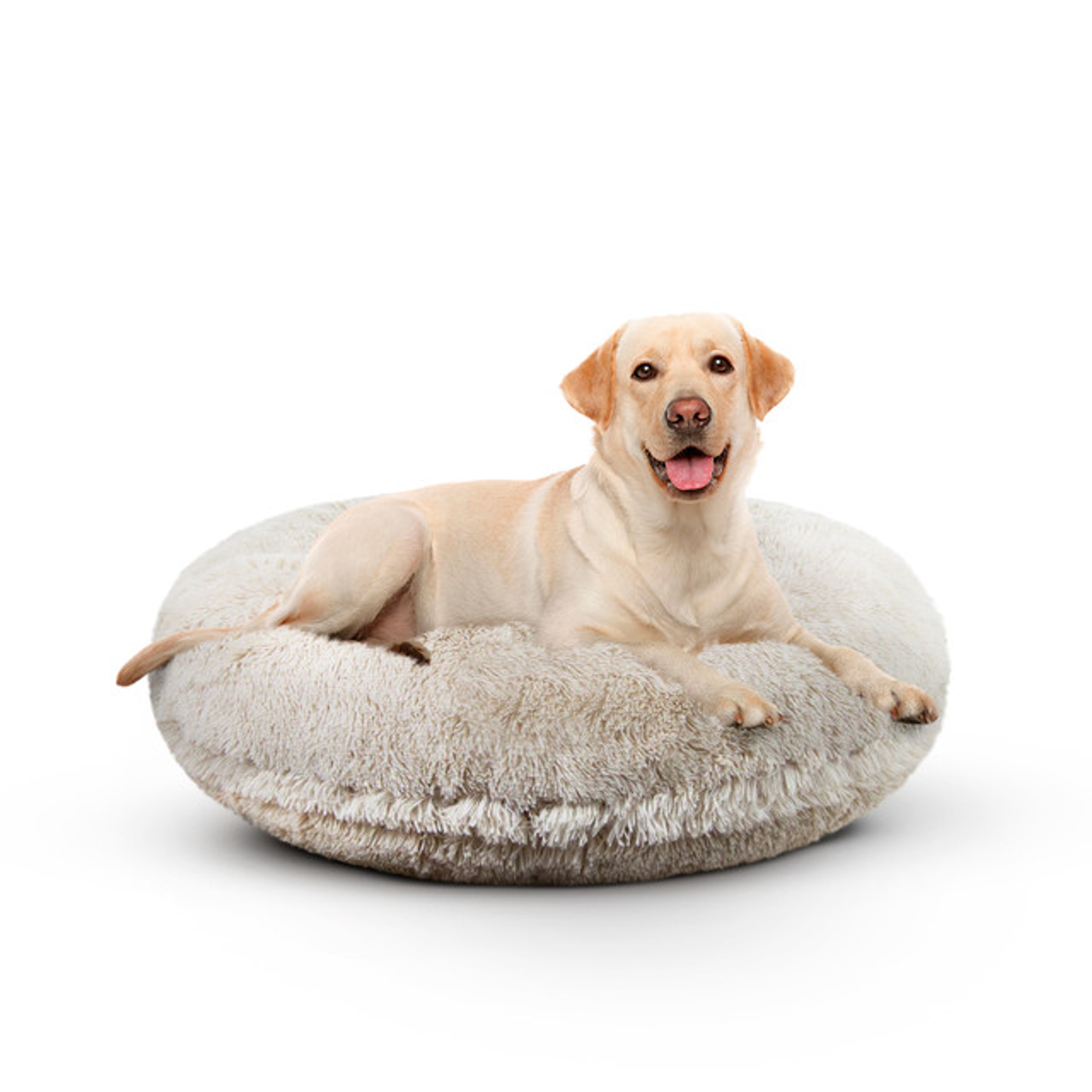 Bagel Bed LG - Blondie Image 1
