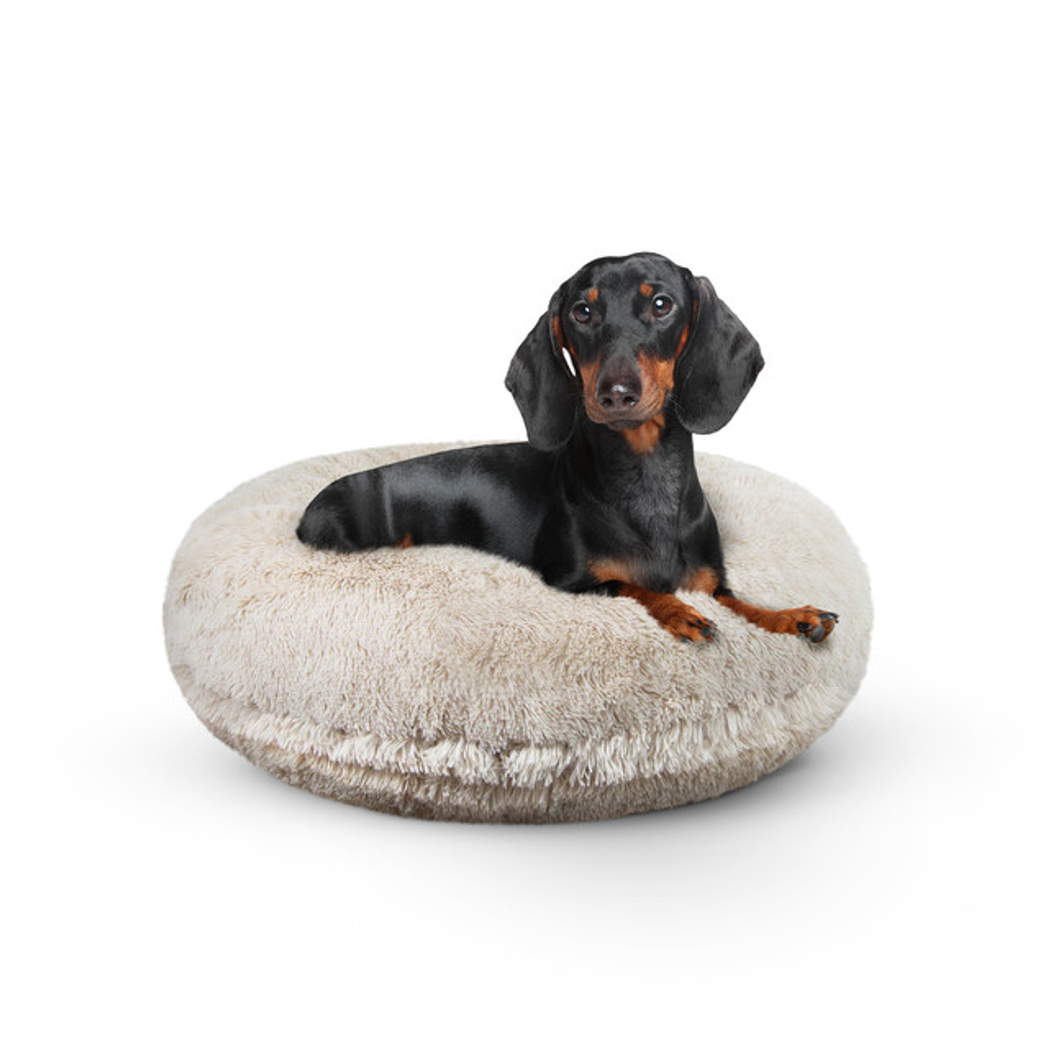 Bagel Bed MD - Blondie Image 1