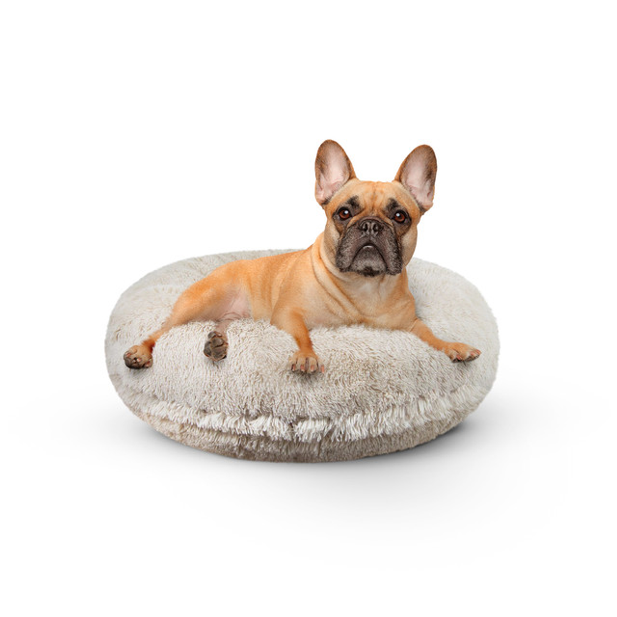 Bagel Bed SM - Blondie Image 1