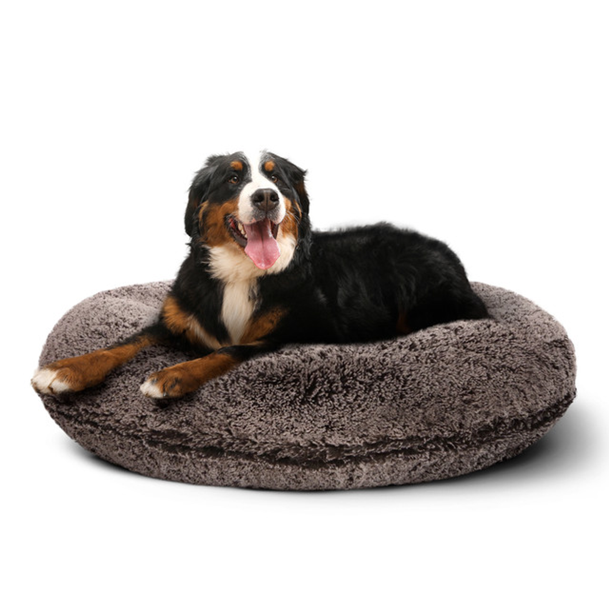 Bagel Bed XL - Frosted Willow Image 1