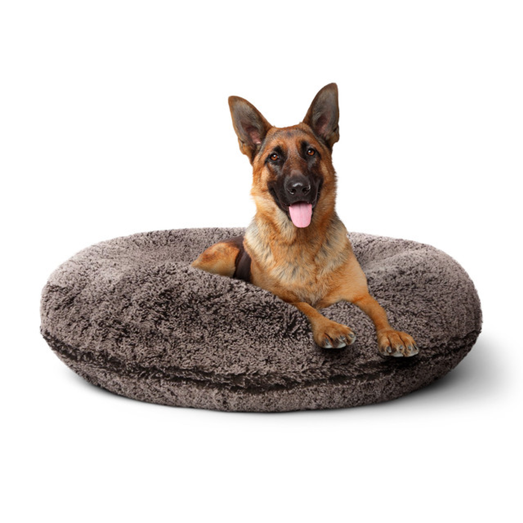 Bagel Bed LG - Frosted Willow Image 1
