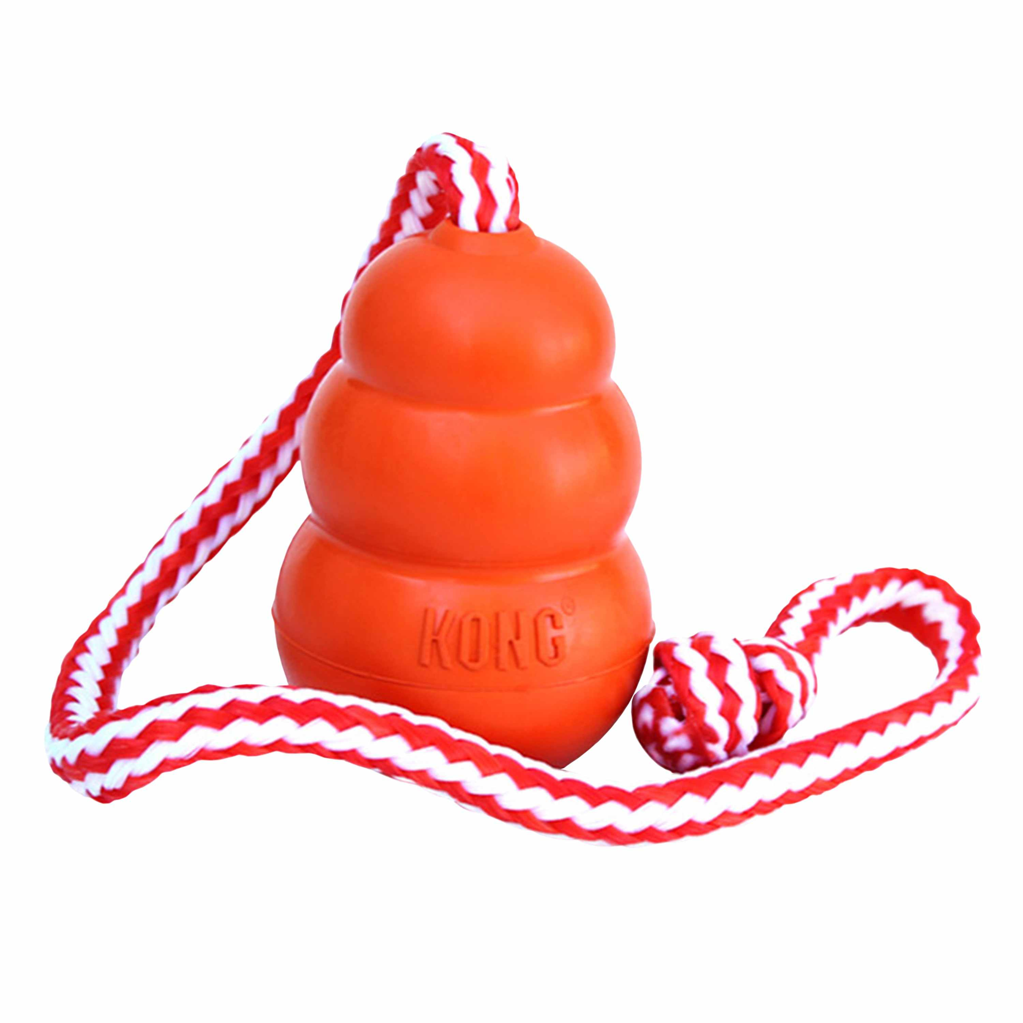 KONG(R) KONG(R) Aqua Cat Toy Large Image 1