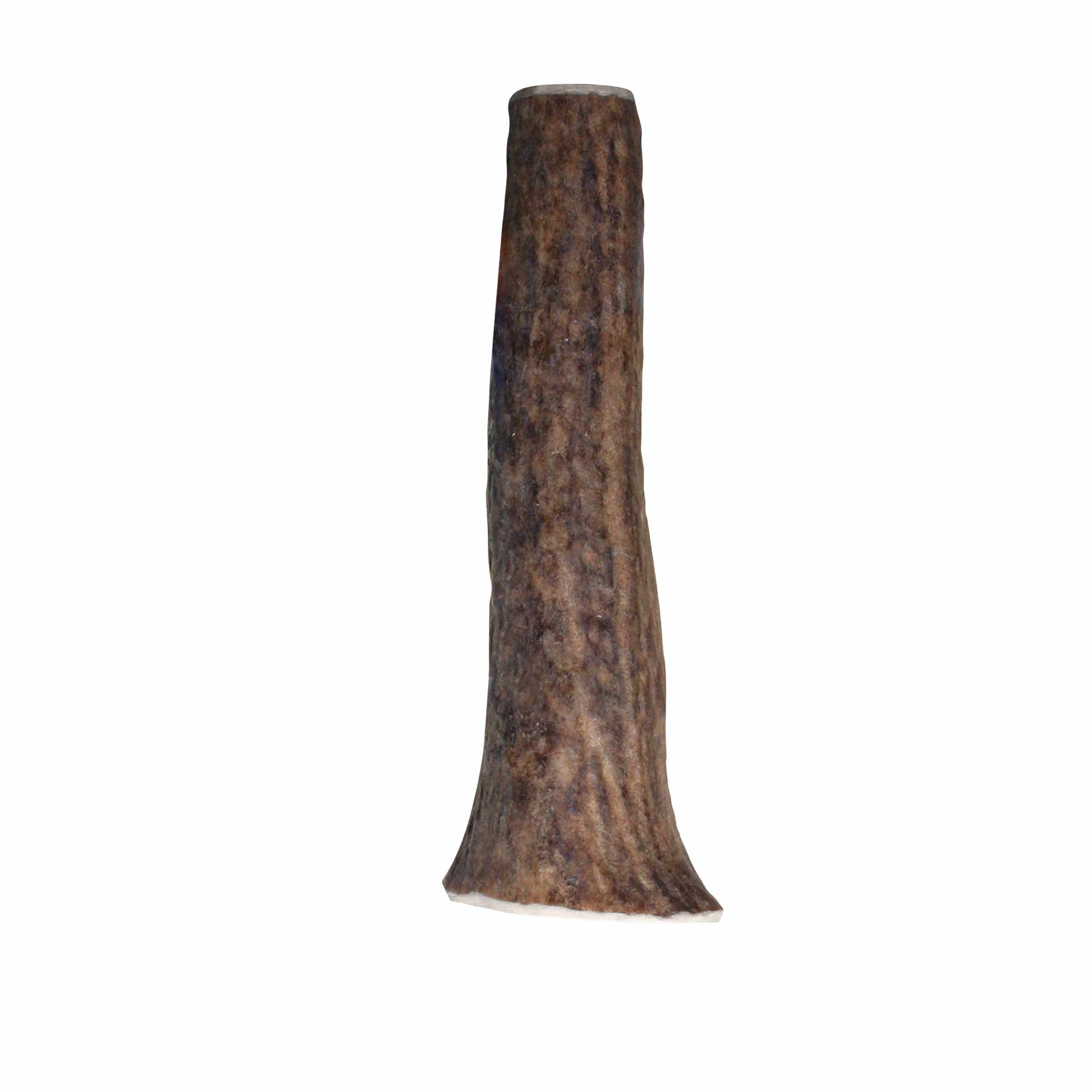 KONG(R) Wild Antler Whole Image 1