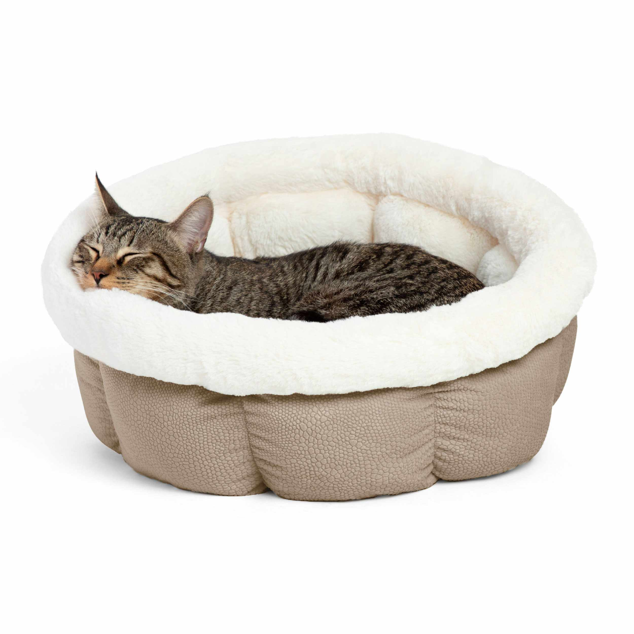 Best Friends by Sheri Cuddle Cup Ilan Image 1