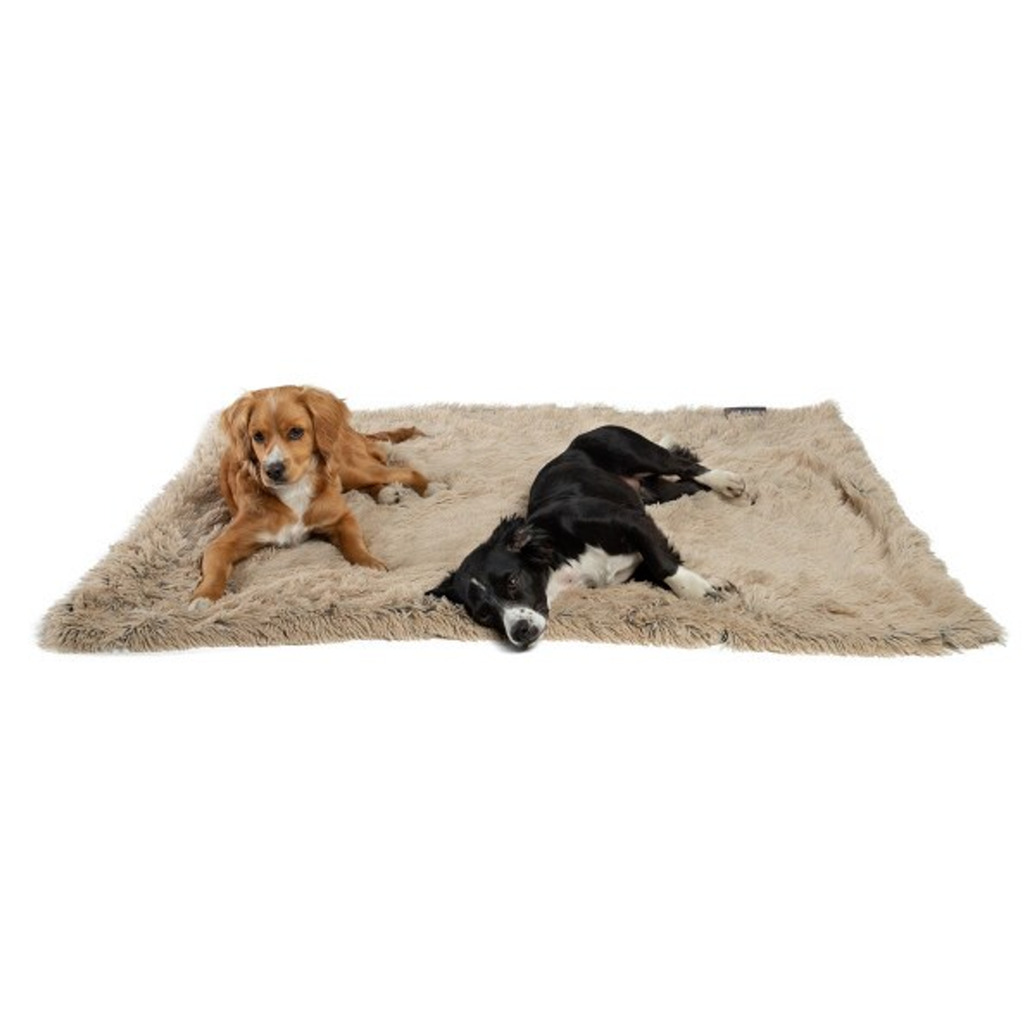 Best Friends by Sheri Blanket Shag Image 1