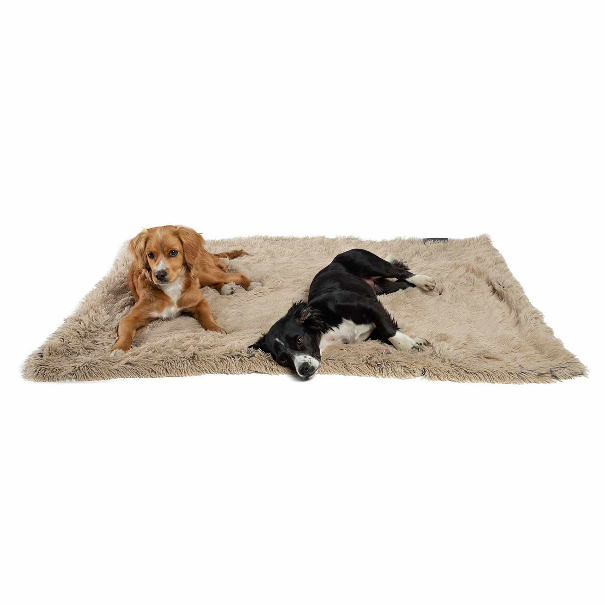 Best Friends by Sheri Blanket Shag Image 1