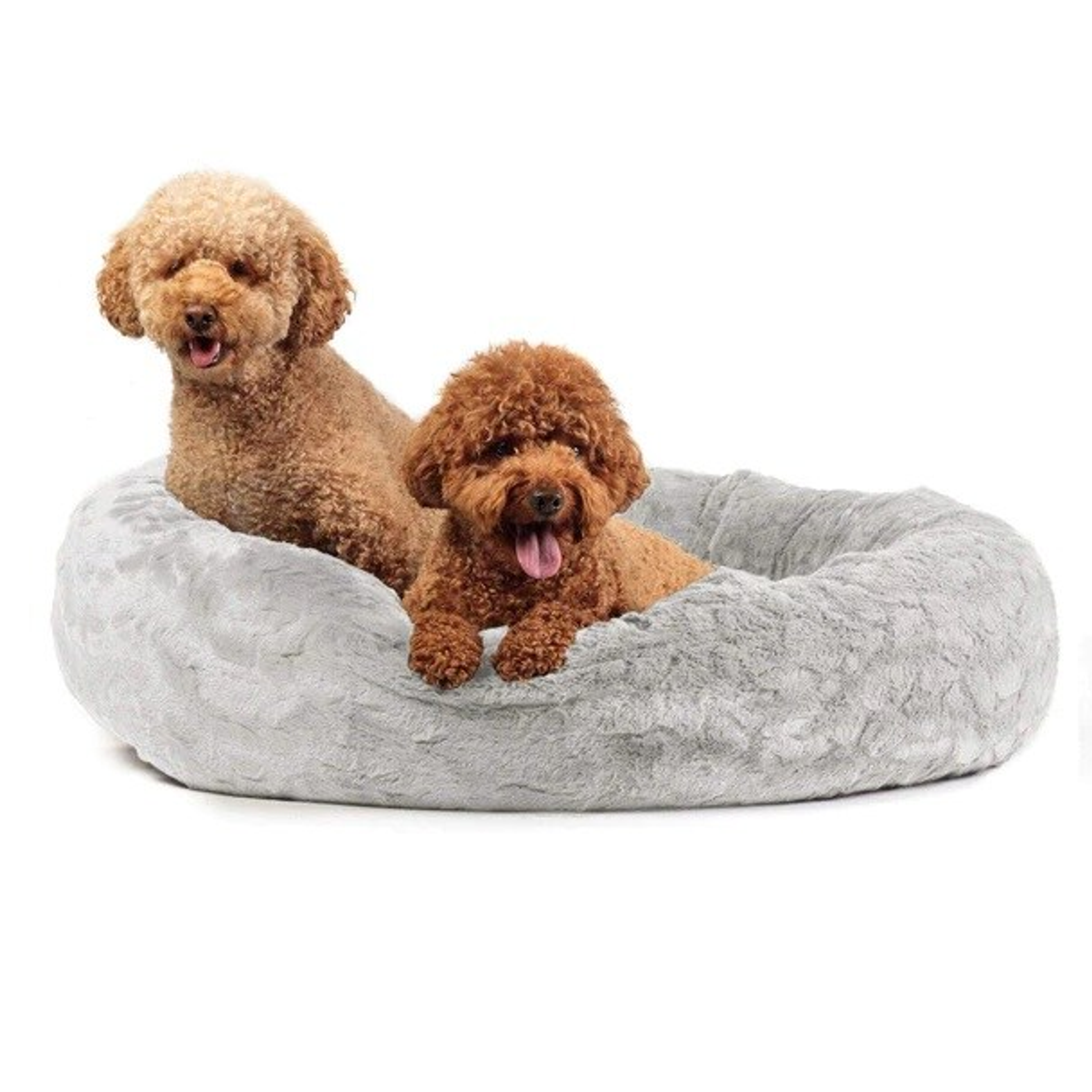 Best Friends by Sheri Lux Donut Dog Bed Image 1