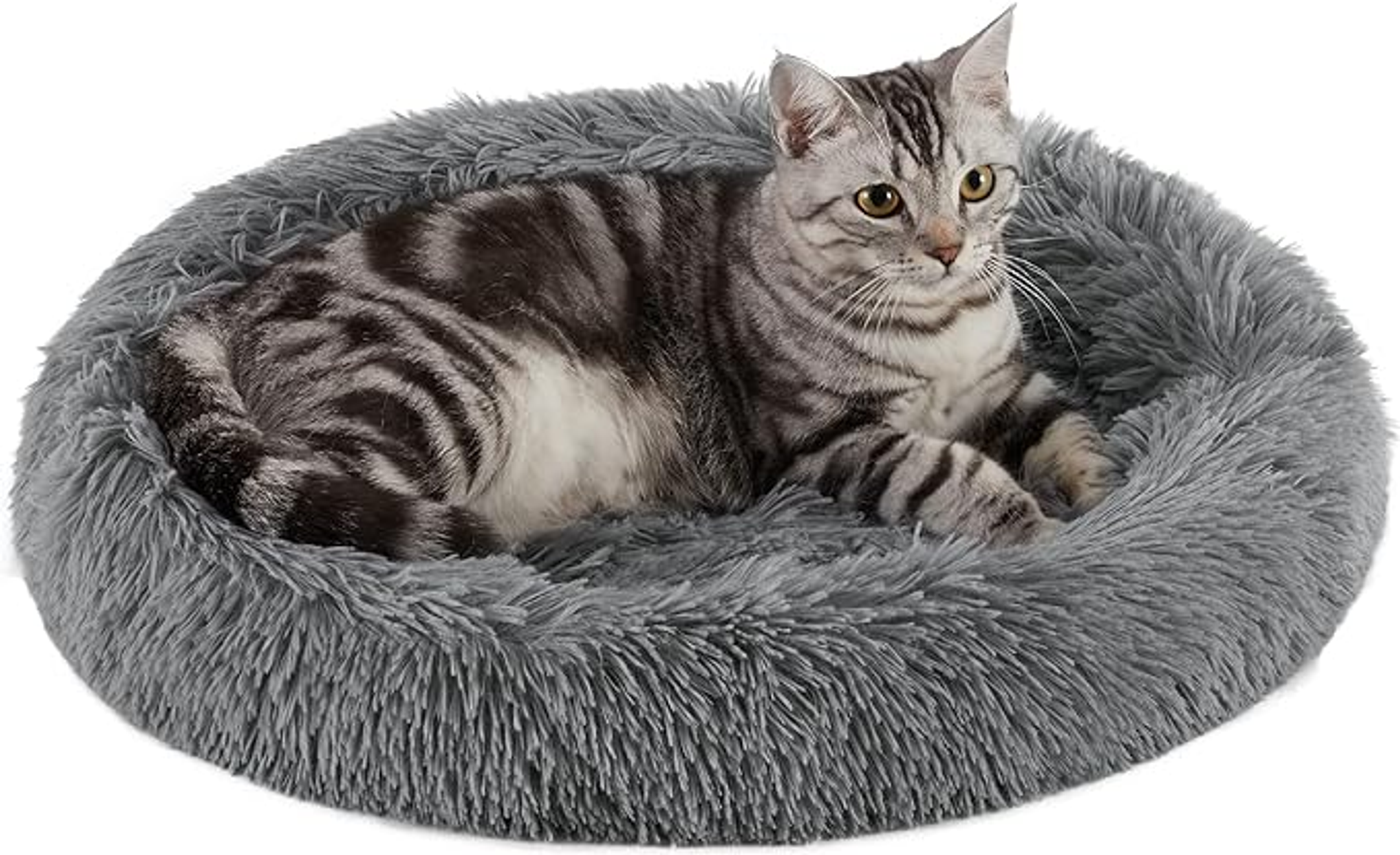 Best Friends by Sheri Cat Donut Bed Image 1