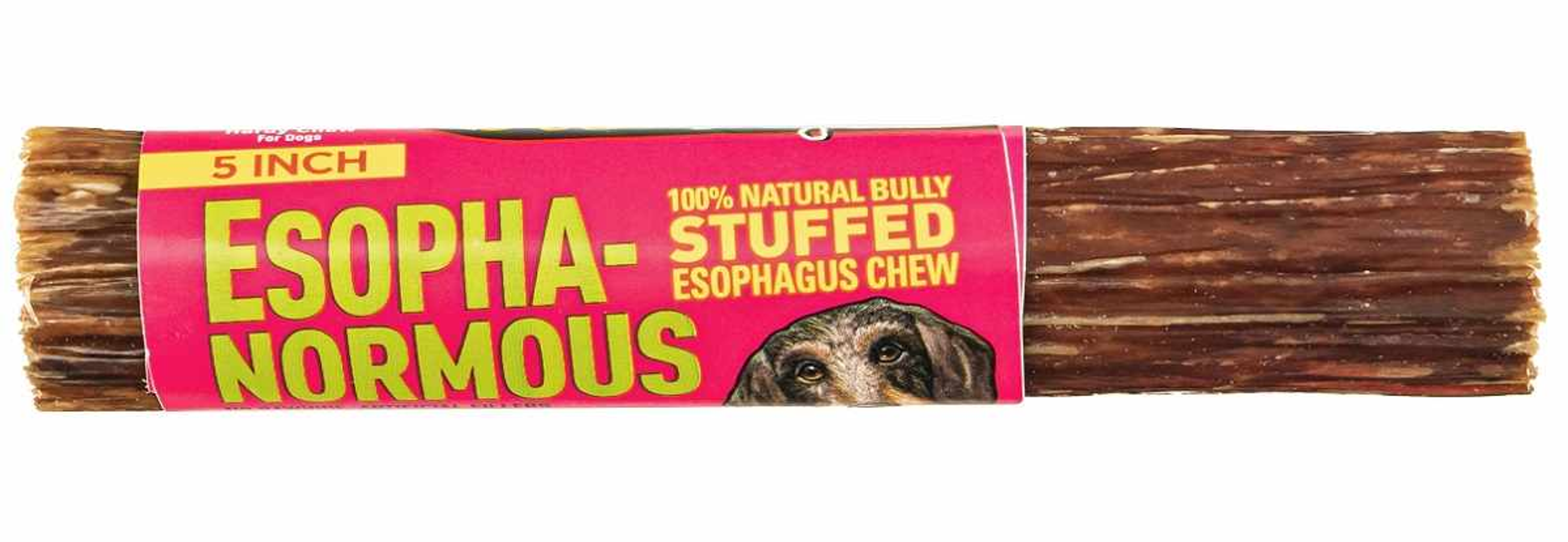 Etta Says! Esopha-normous Bully Stuffed Esophagus Chew 5in 20ct Bag Image 1