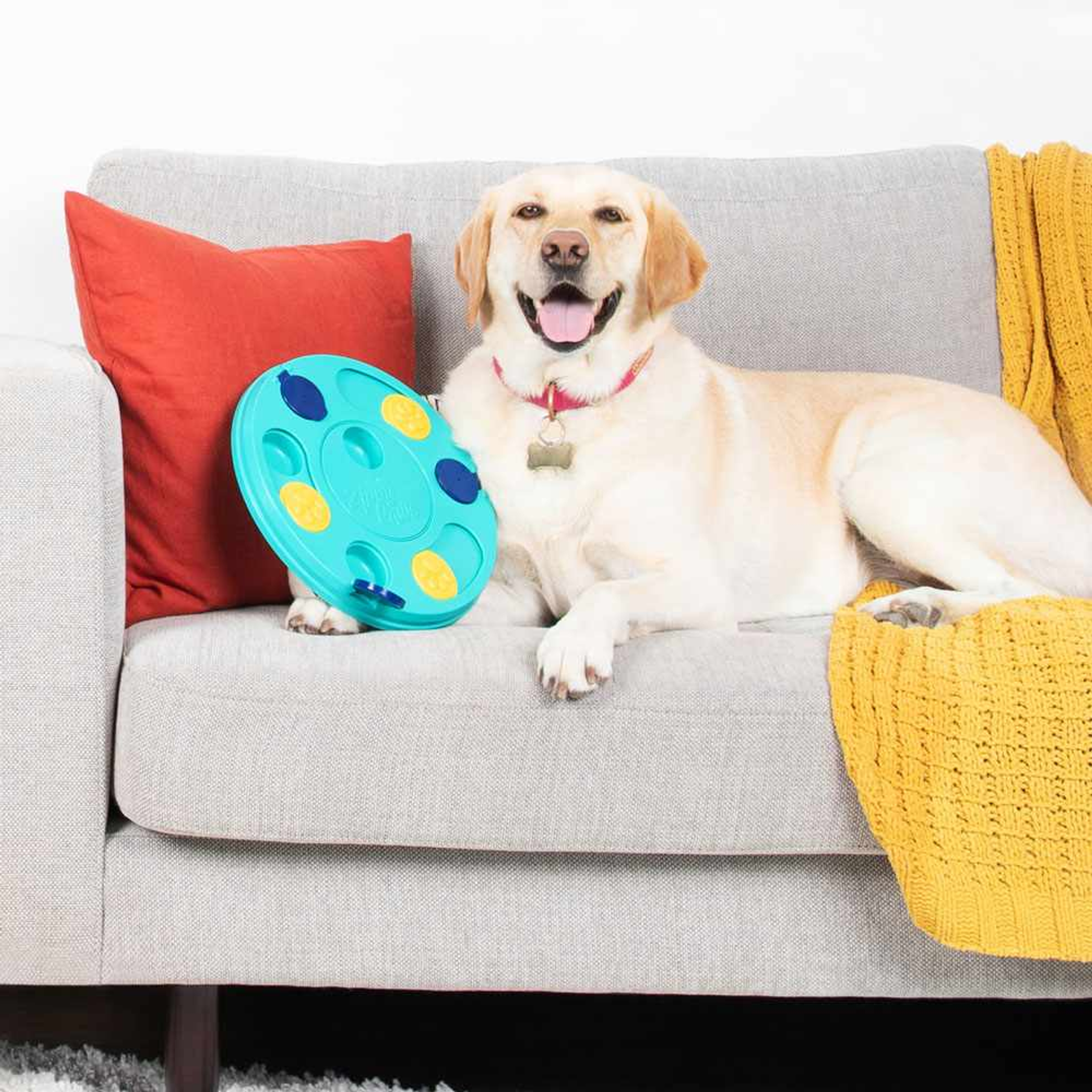 ZippyPaws Smarty Paws Puzzler Image 1