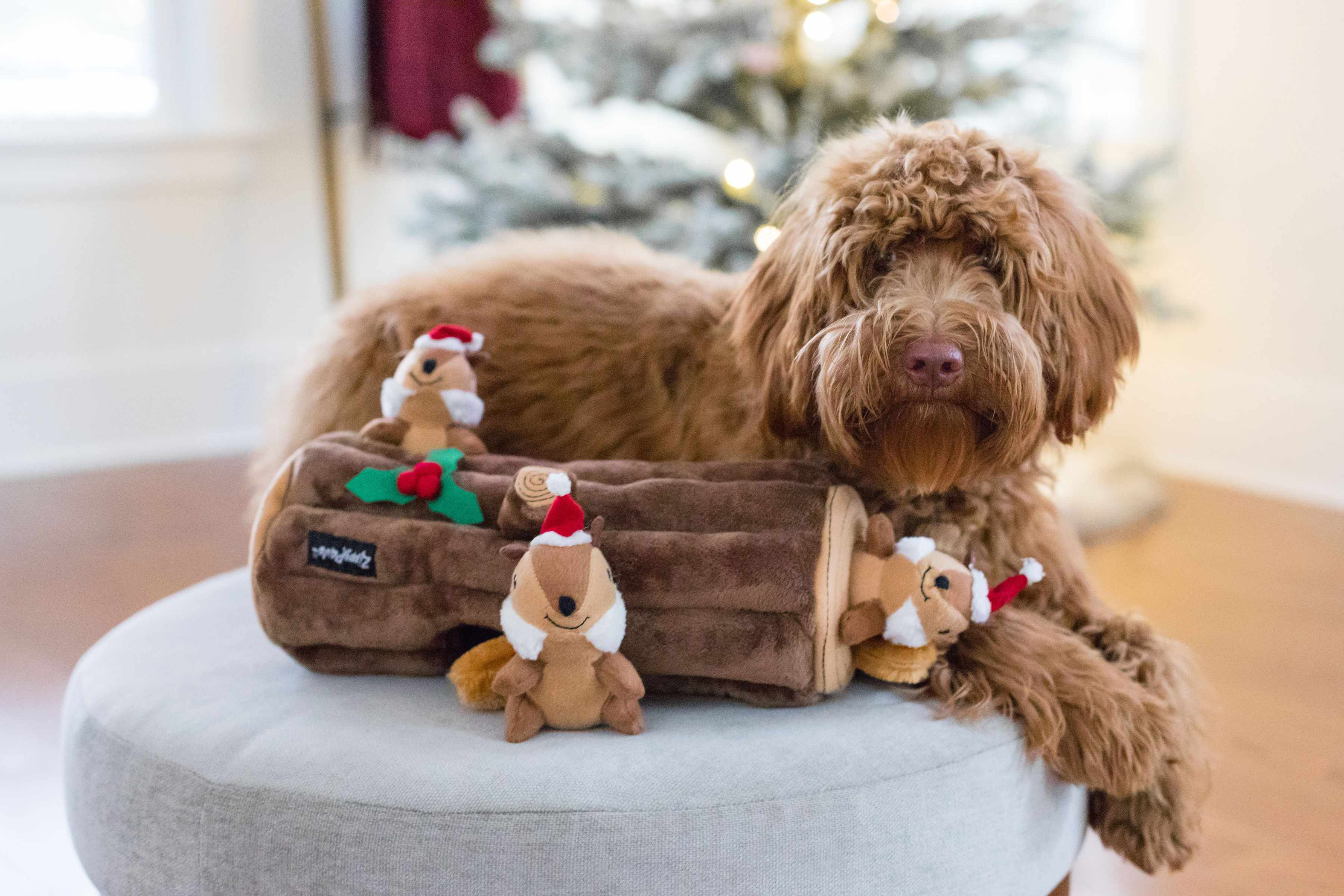 ZippyPaws Holiday Zippy Burrow Yule Log Plush Dog Toy Image 1
