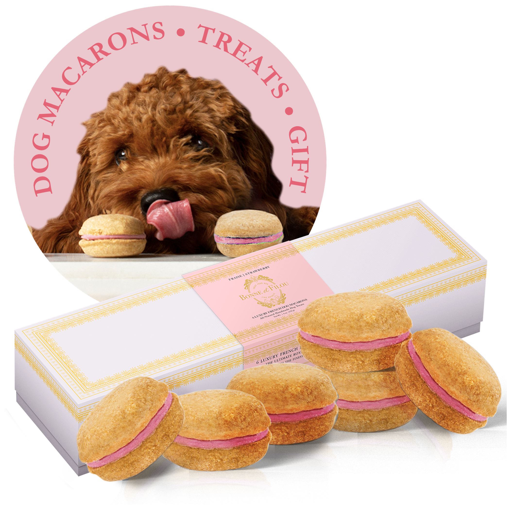 Dog Macarons - Box of 6 (Available in 12 Flavors) Image 1