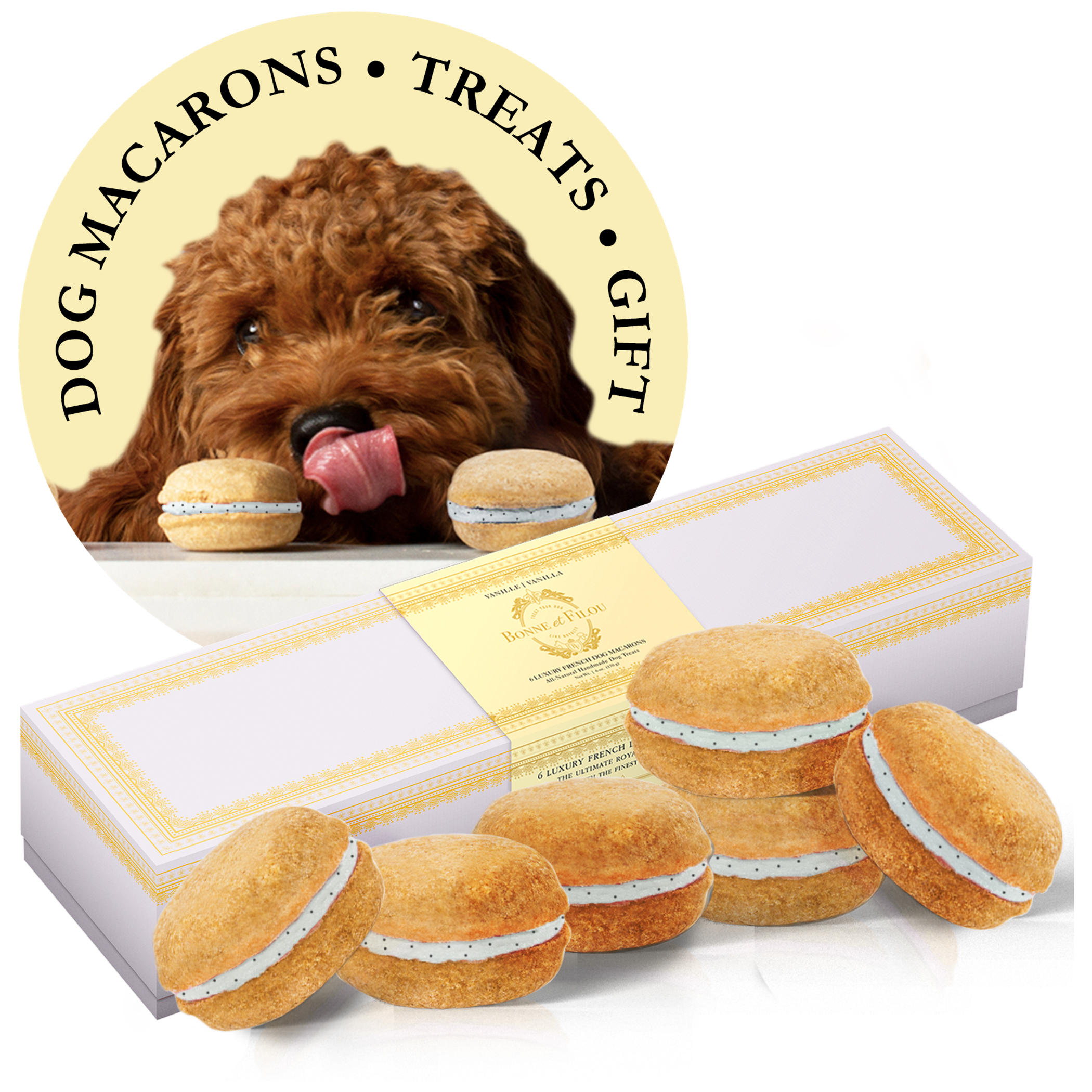 Dog Macarons - Box of 6 (Available in 12 Flavors) Image 1
