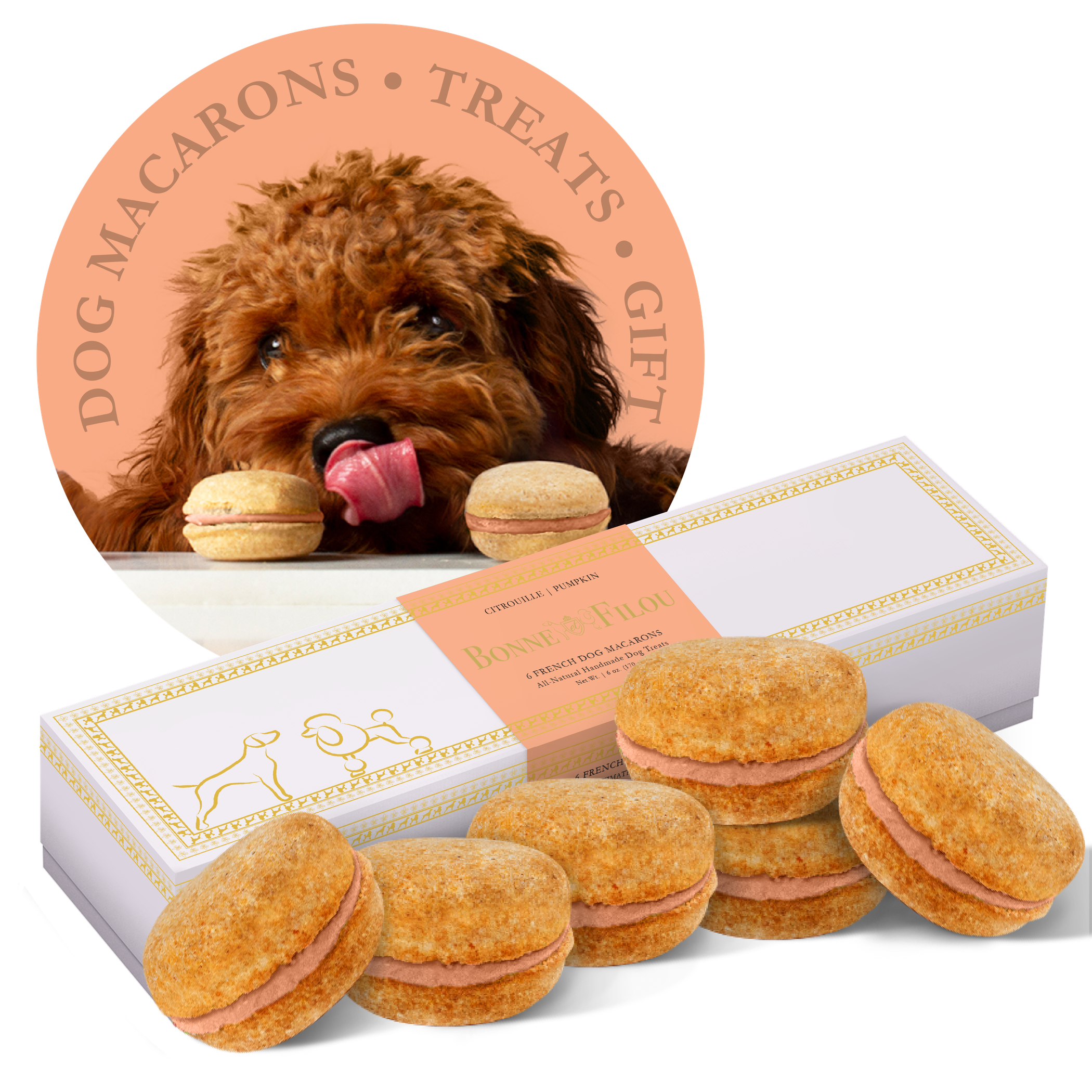 Dog Macarons - Box of 6 (Available in 12 Flavors) Image 1