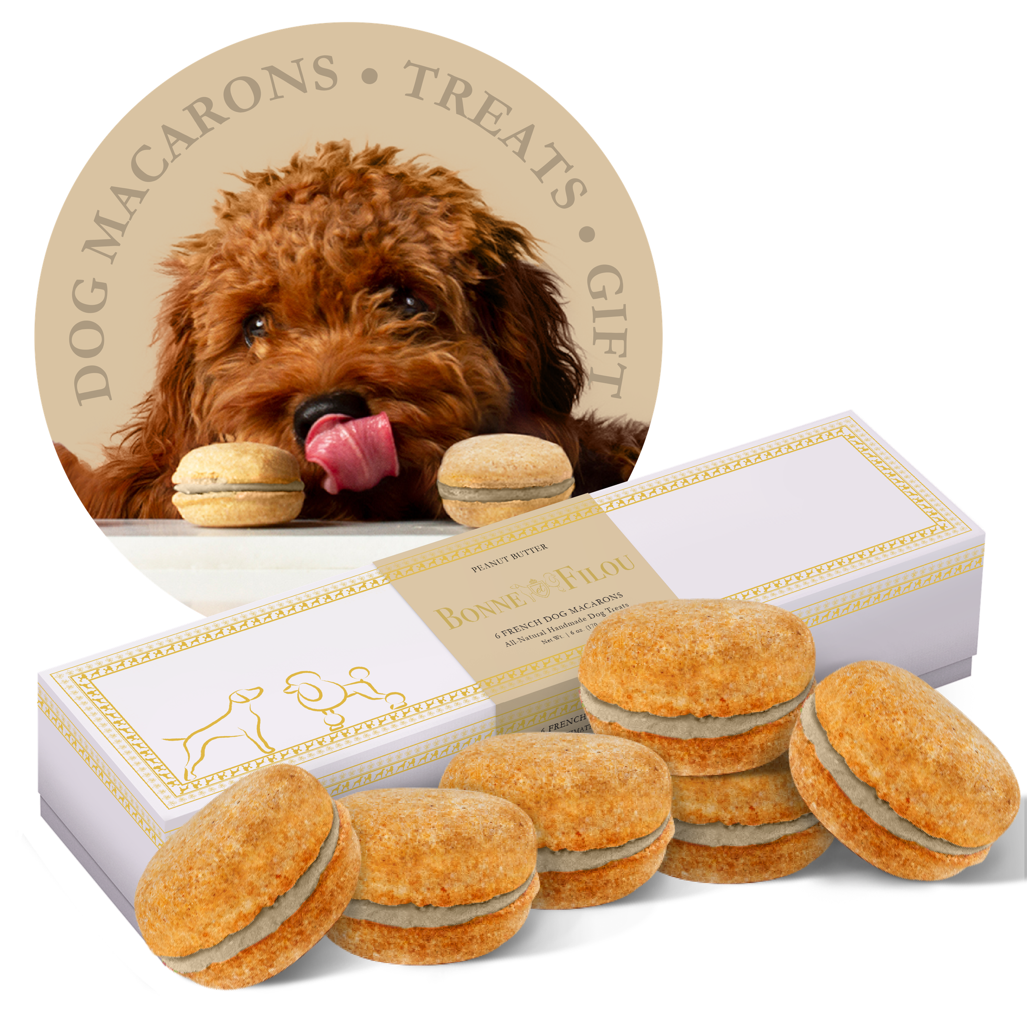 Dog Macarons - Box of 6 (Available in 12 Flavors) Image 1