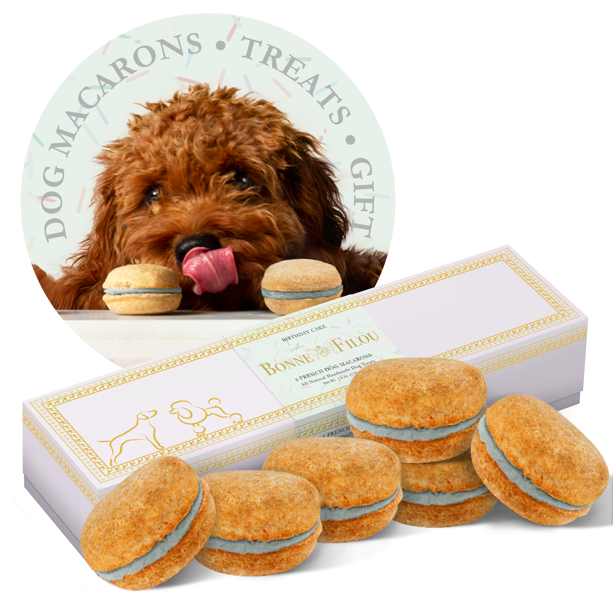 Dog Macarons - Box of 6 (Available in 12 Flavors) Image 1