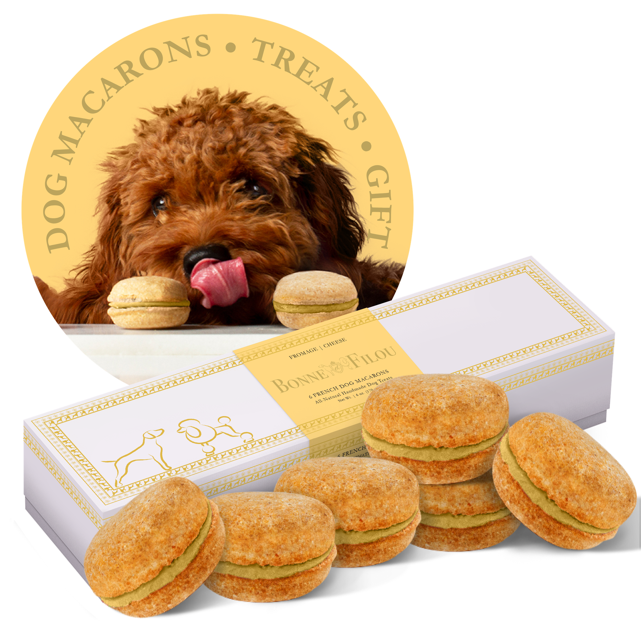 Dog Macarons - Box of 6 (Available in 12 Flavors) Image 1