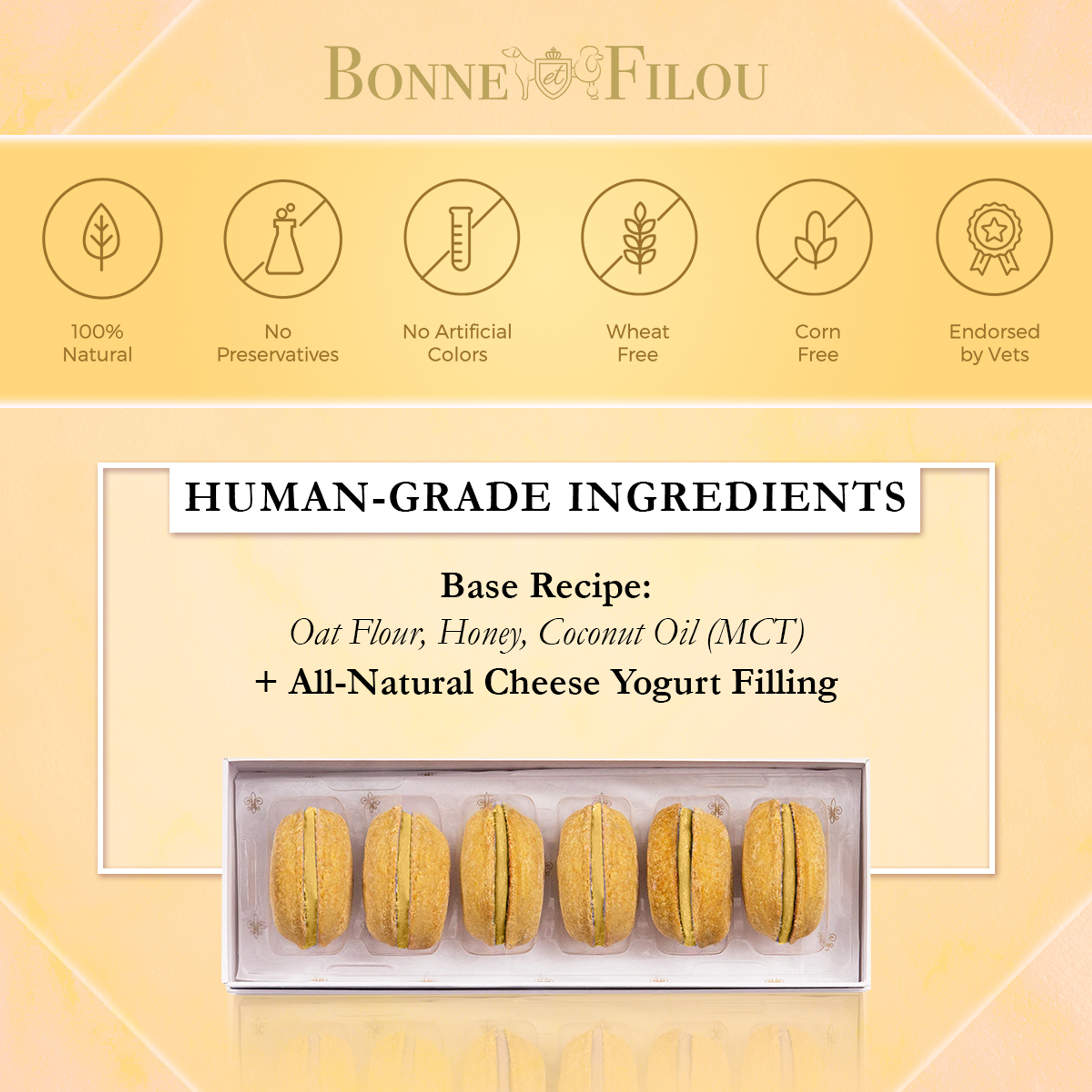 Dog Treats Reward Box of 6 Handmade Human-Grade Natural Ingredients Hard Exterior Yogurt Filling Available in 12 Flavors