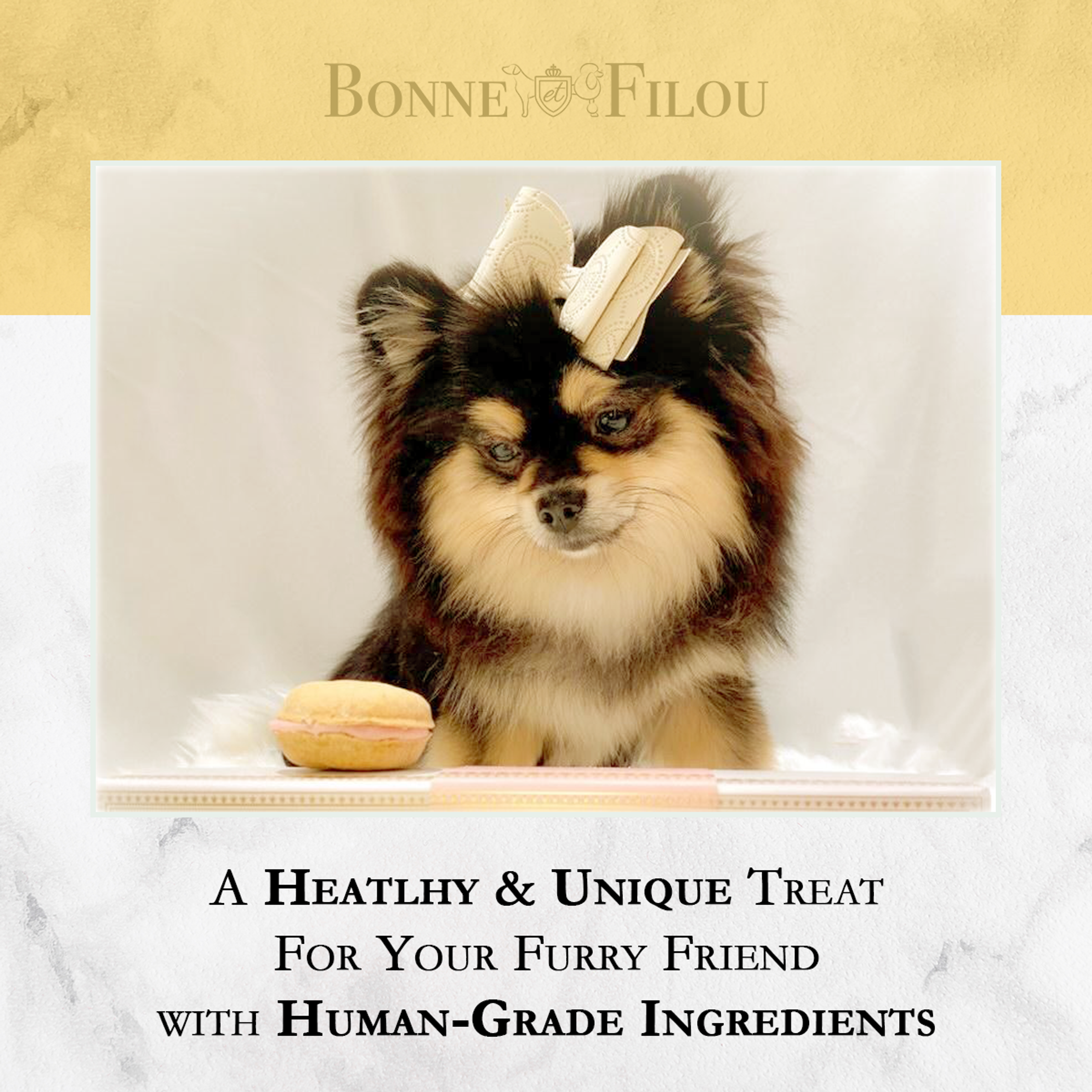 Dog Treats Reward Box of 6 Handmade Human-Grade Natural Ingredients Hard Exterior Yogurt Filling Available in 12 Flavors