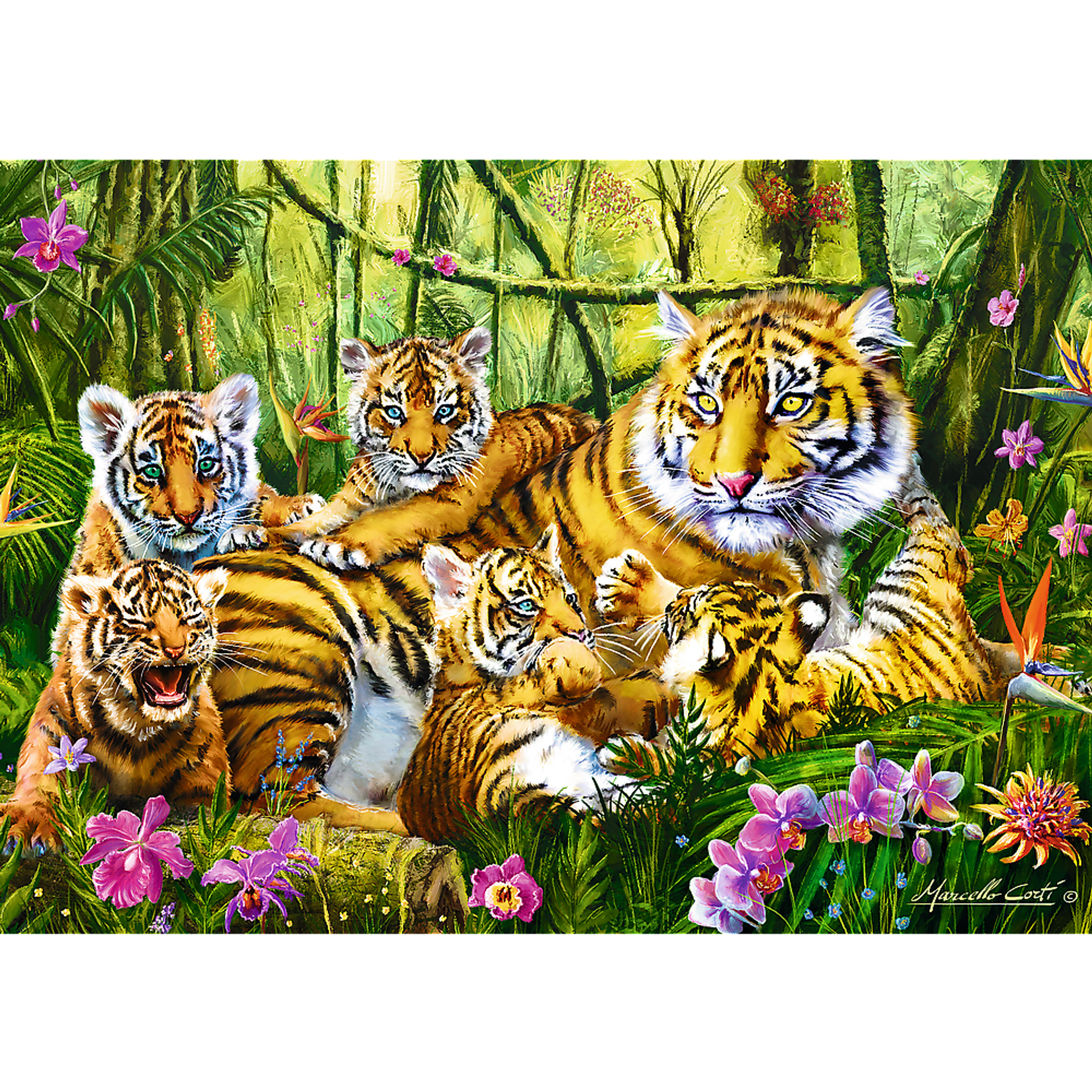 Jigsaw Puzzle 500 Piece Family of Tigers Colorful Design Durable Blue Cardboard Dimensions 15.59 x 10.47 x 1.73 Inches
