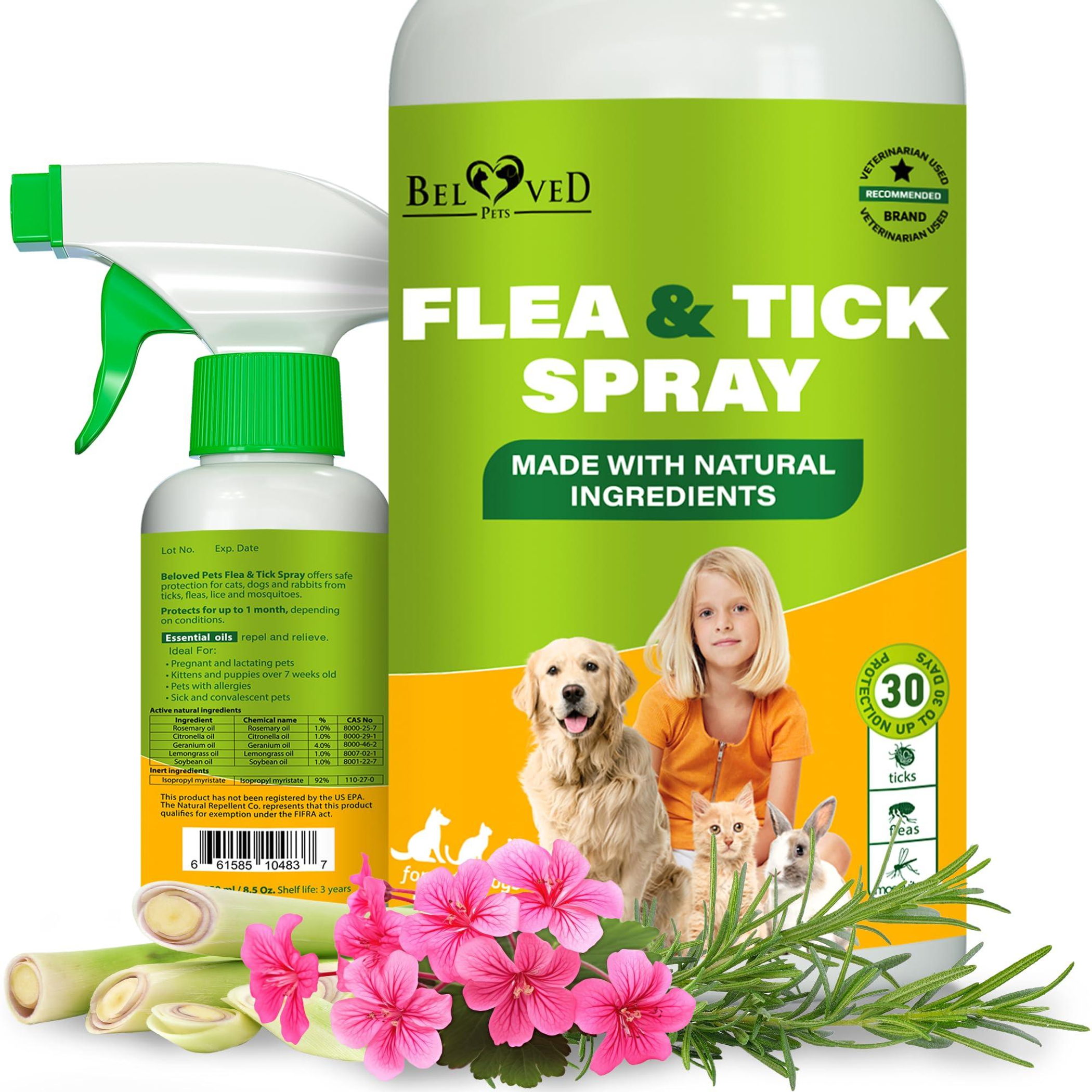 Natural Flea and Tick Home Spray for Dogs Cats & Ferret Mosquito Bug Repellent & Carpet Flea Killer Pet Pest Control & House Flea Treatment Indoor Org Image 1