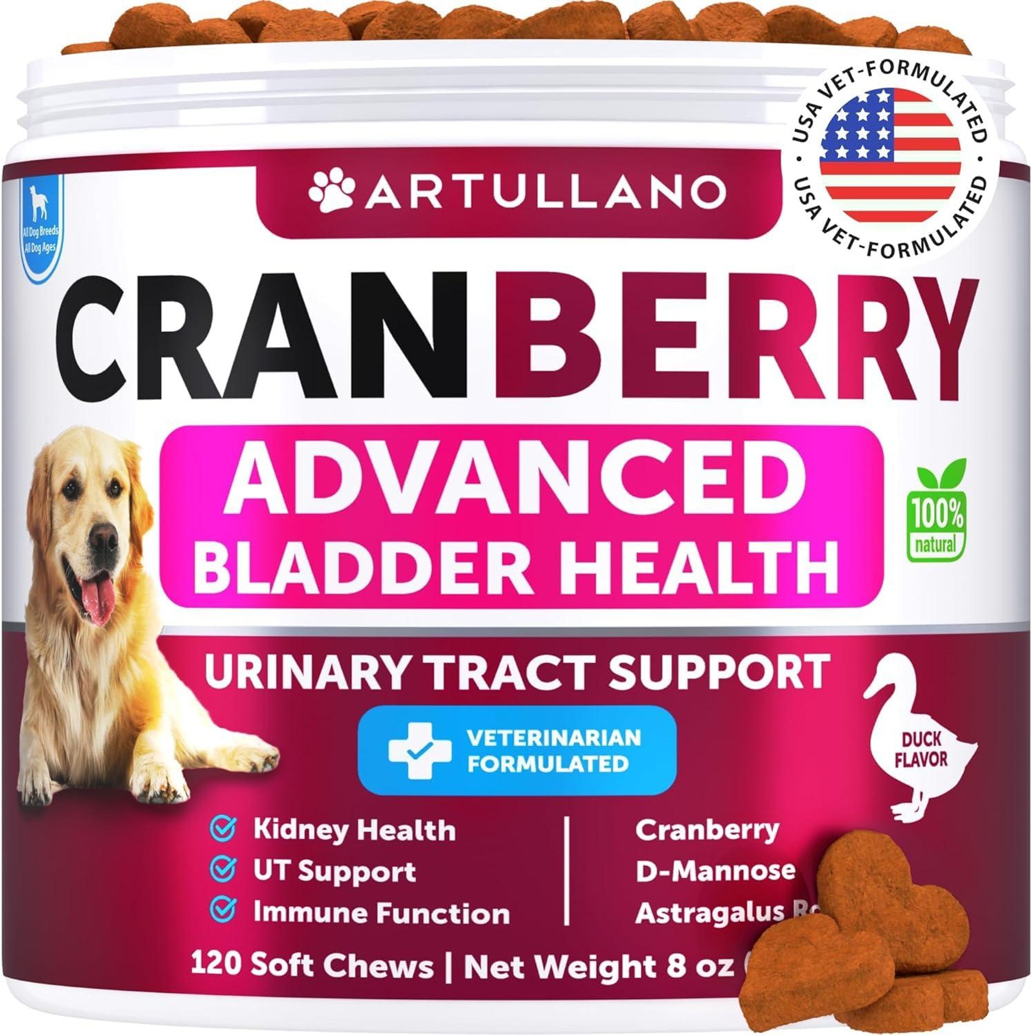 Dog UTI Treatment Image 1