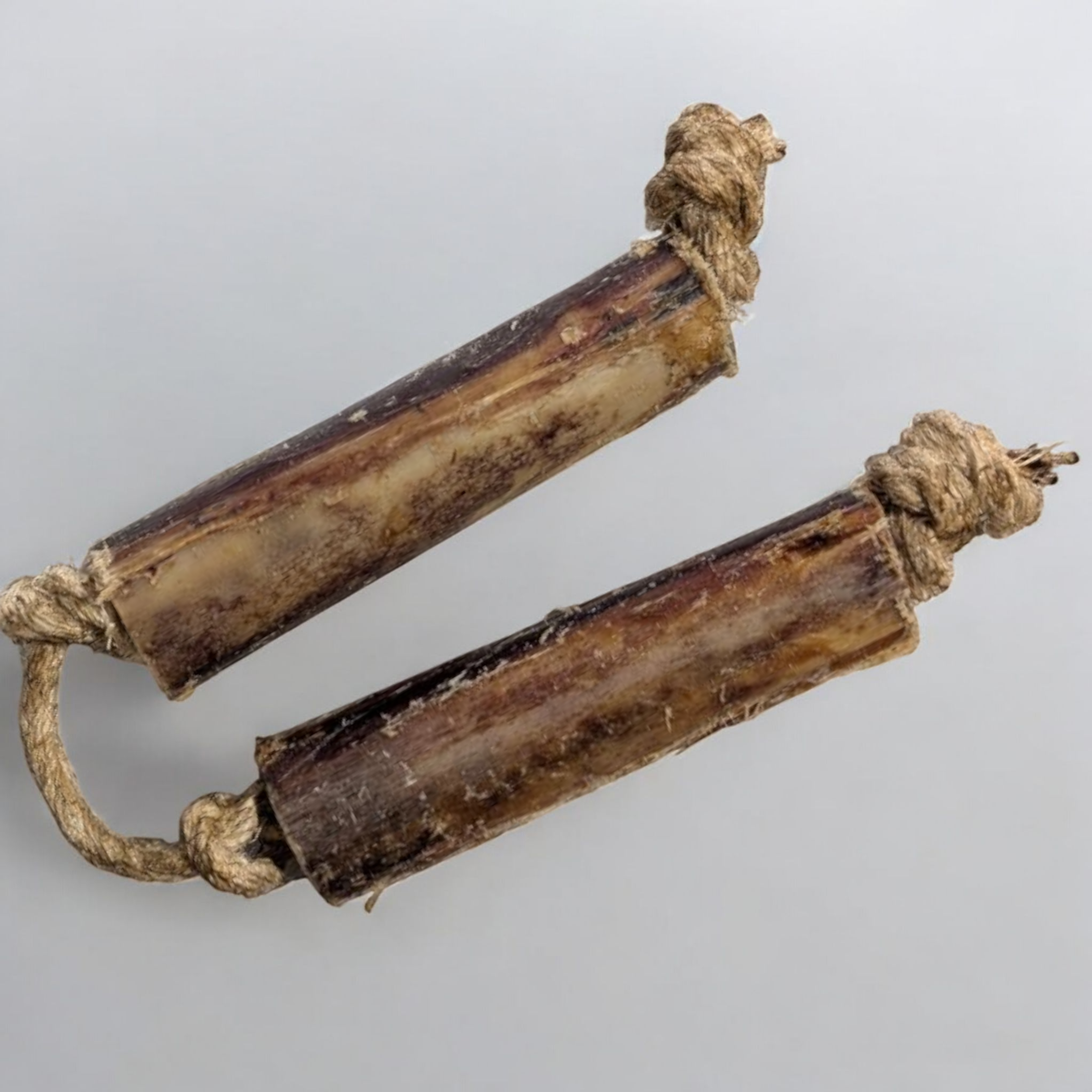 Ostrich Bone Chew with Rope : The Ultimate Chew Toy for Avid Chewers & Active Dogs Image 1